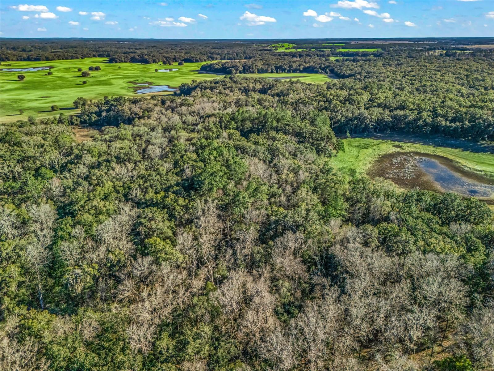 Image 11 of 17 For 0 165th Avenue