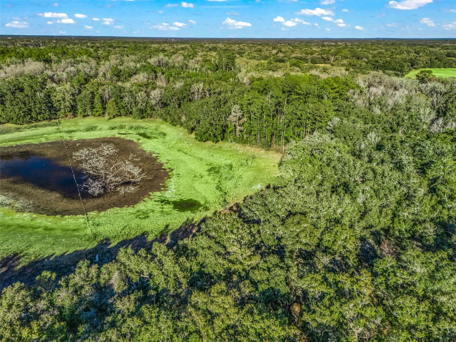 Image 12 of 17 For 0 165th Avenue