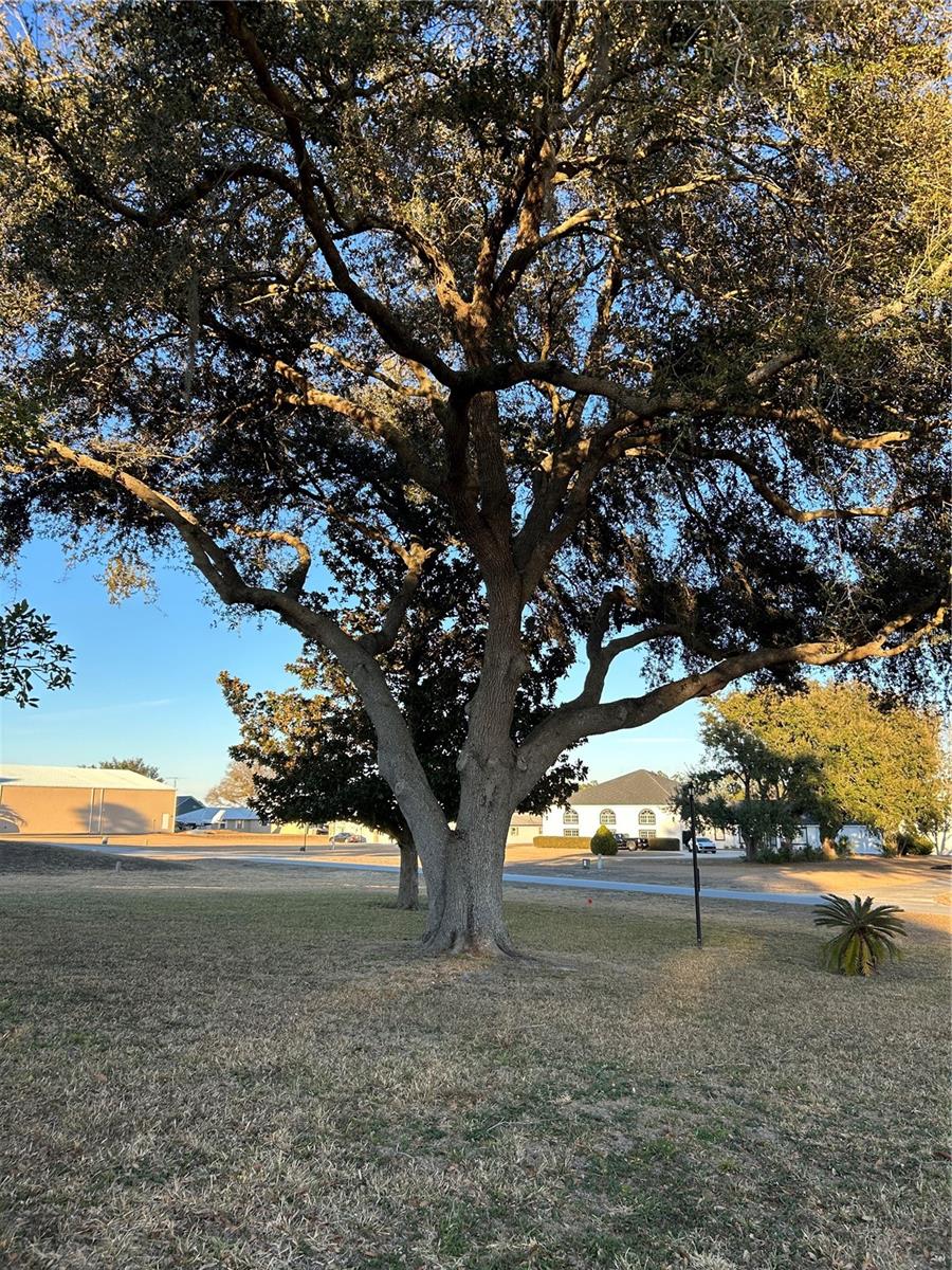 Image 19 of 33 For 9130 72nd Avenue