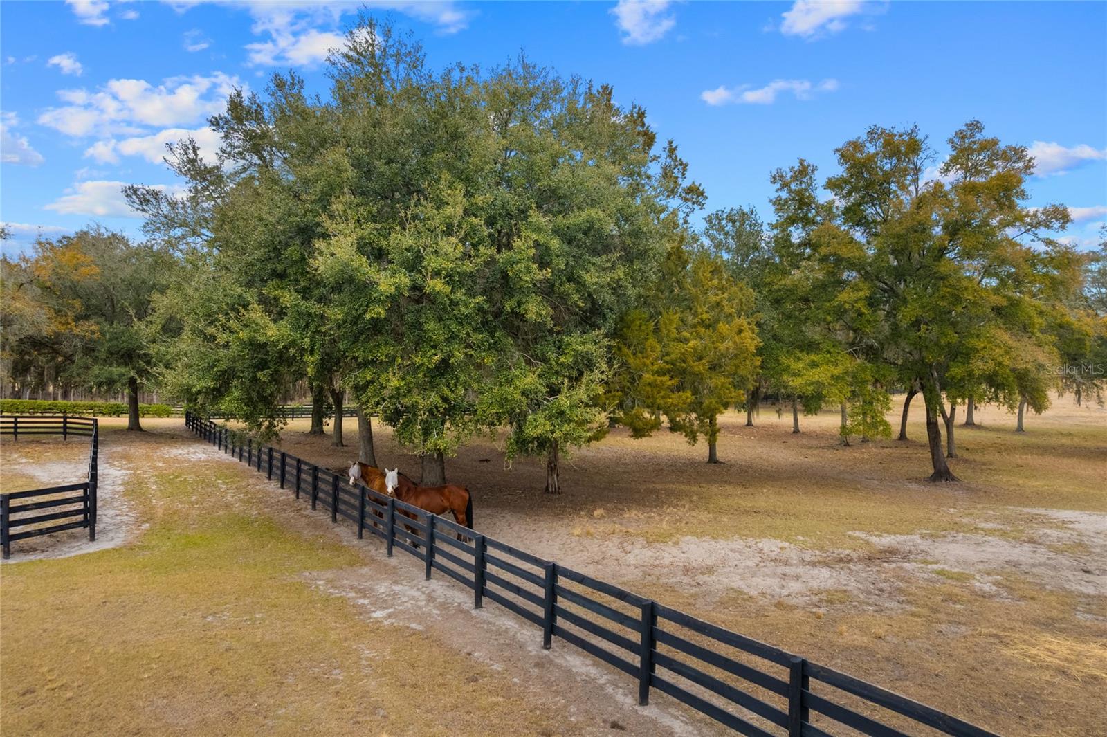 Listing photo id 80 for 12350 Nw Hwy 225 Hwy 225