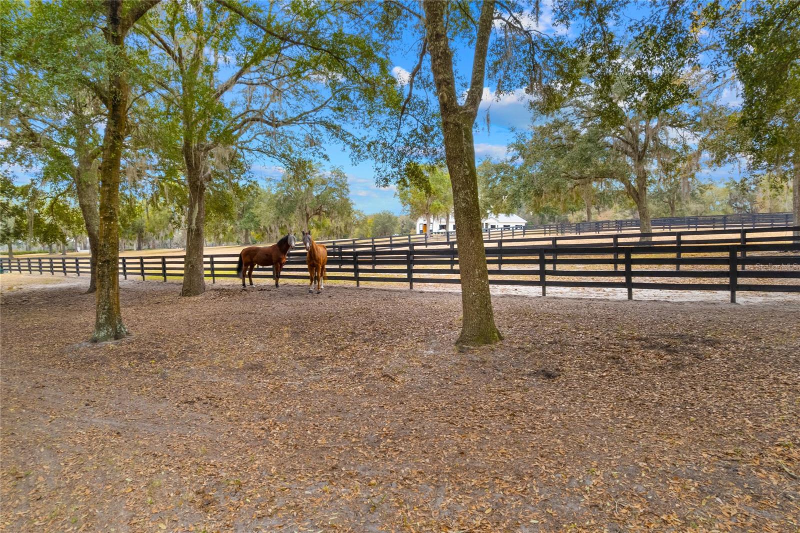 Listing photo id 85 for 12350 Nw Hwy 225 Hwy 225