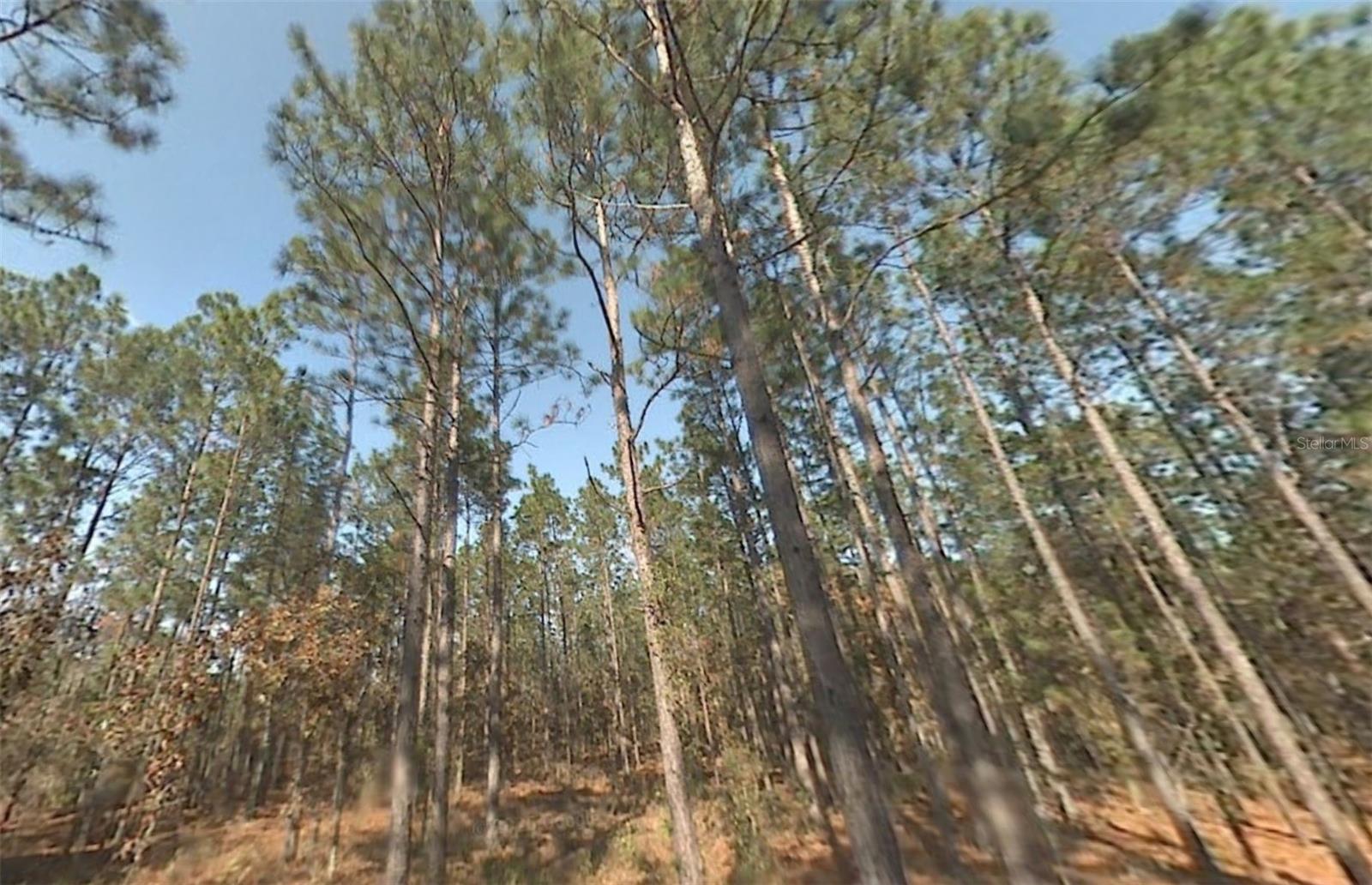 Image 3 of 7 For 00 39th Street