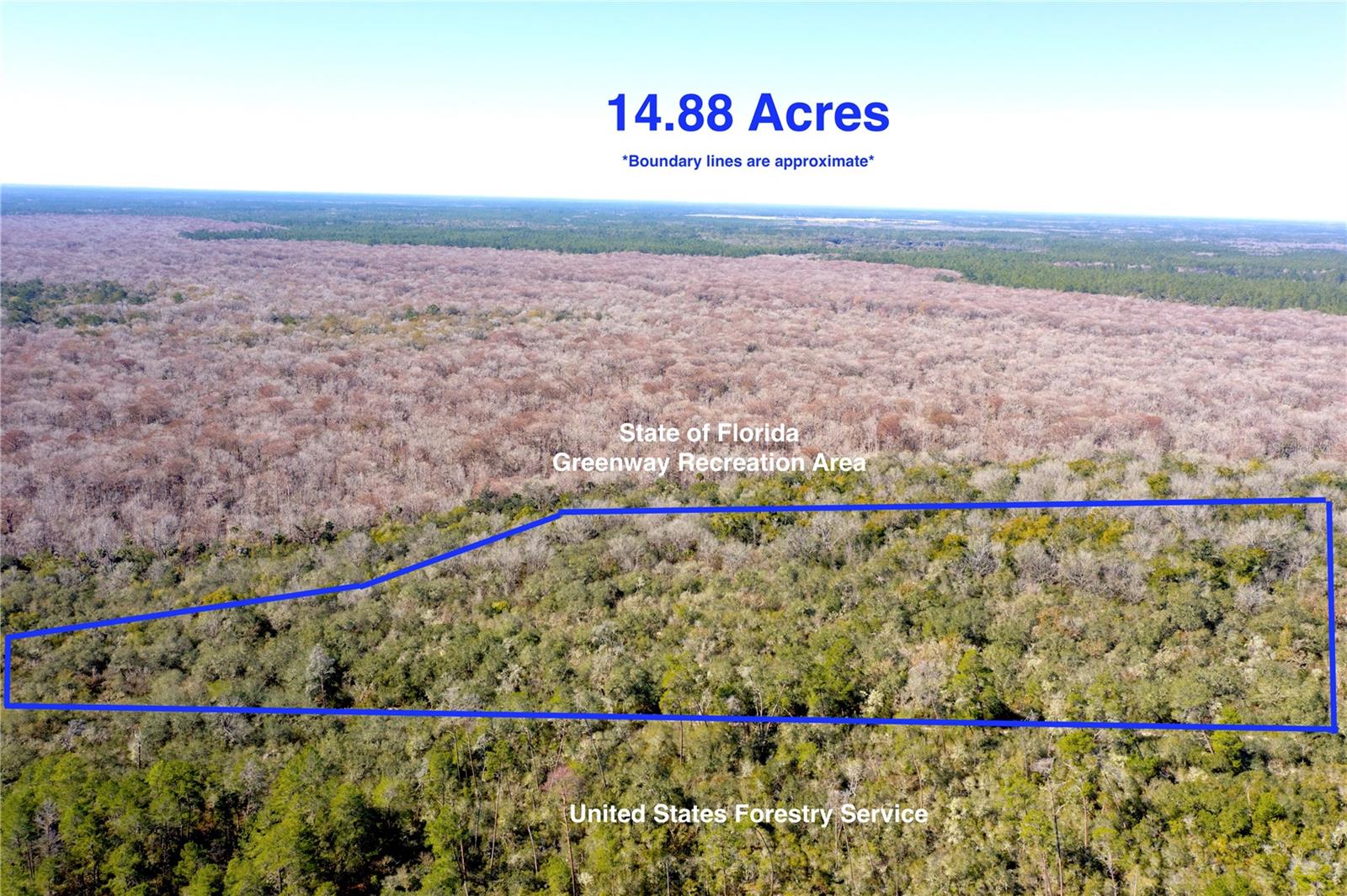 Details for Tbd 170th Avenue Road, FORT MC COY, FL 32134
