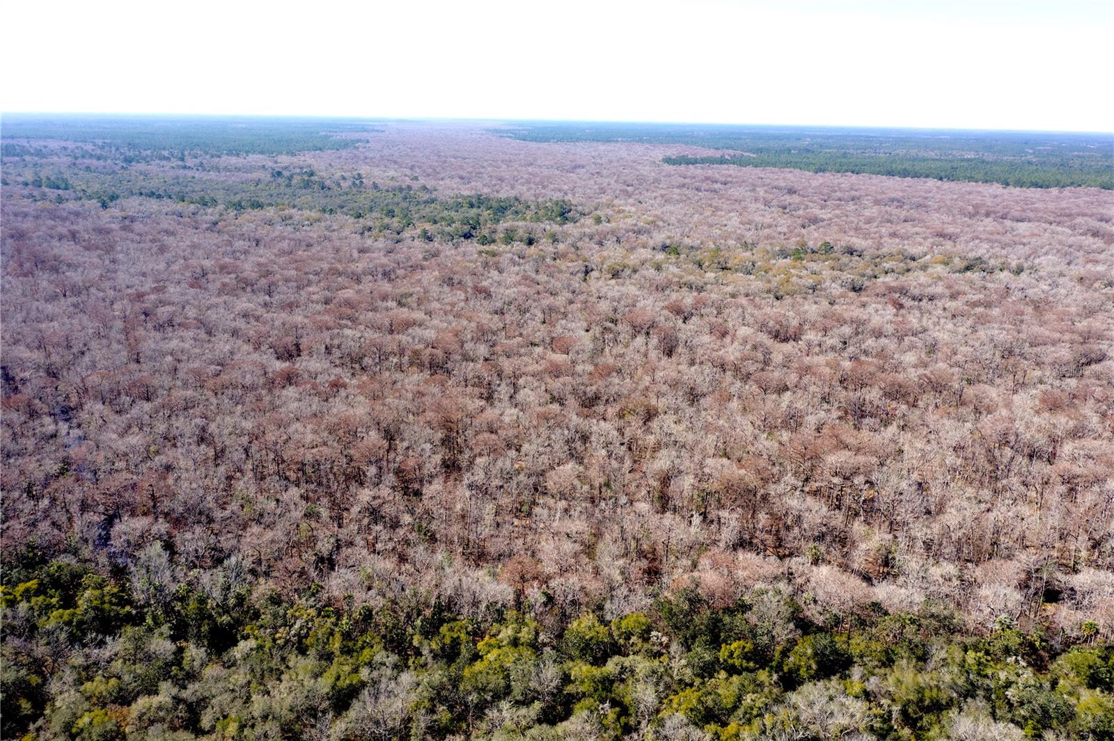 Image 2 of 9 For Tbd 170th Avenue Road