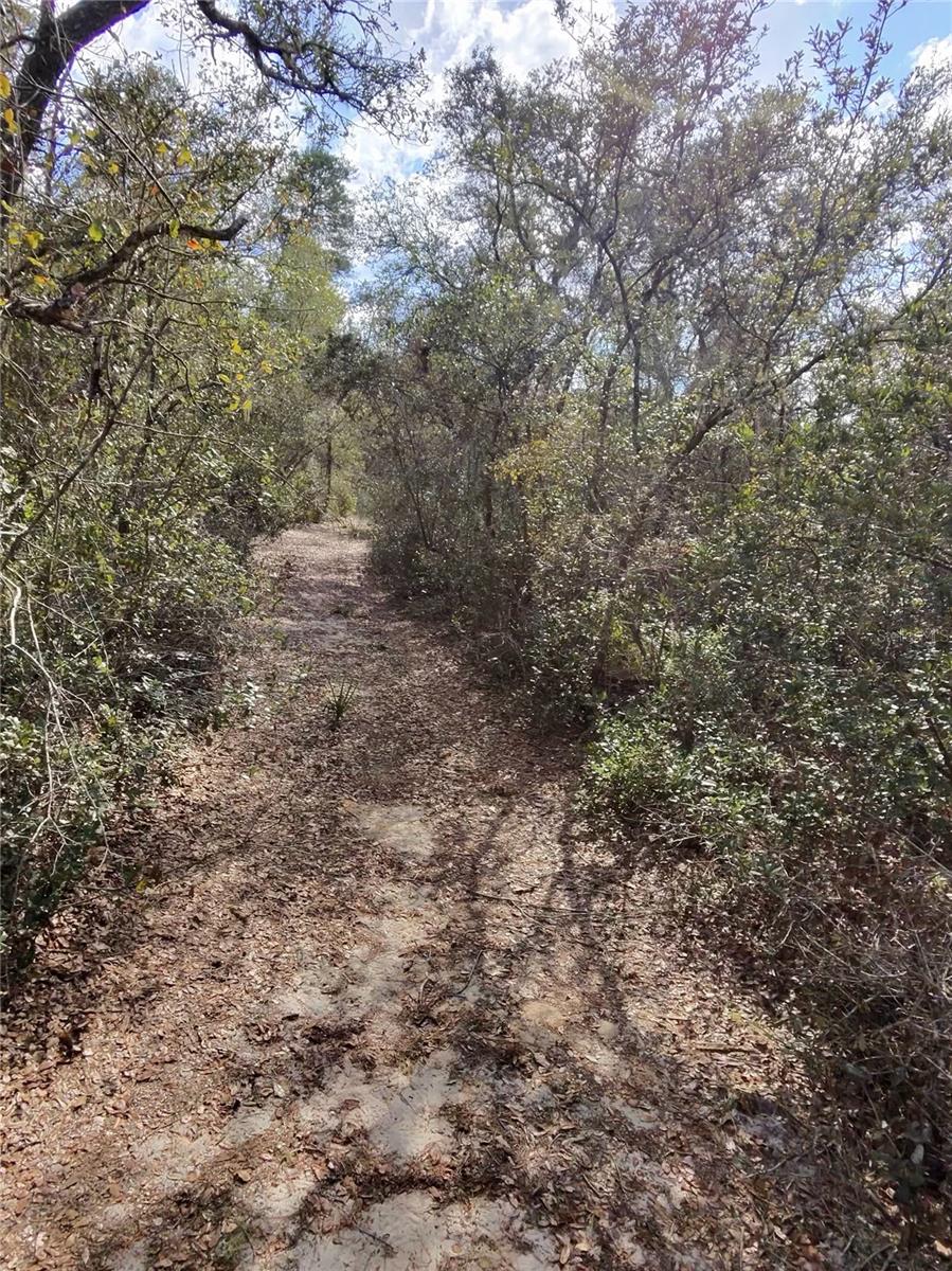 Image 5 of 9 For Tbd 170th Avenue Road