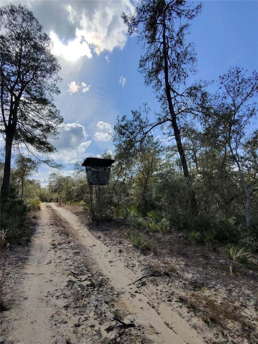 Image 6 of 9 For Tbd 170th Avenue Road