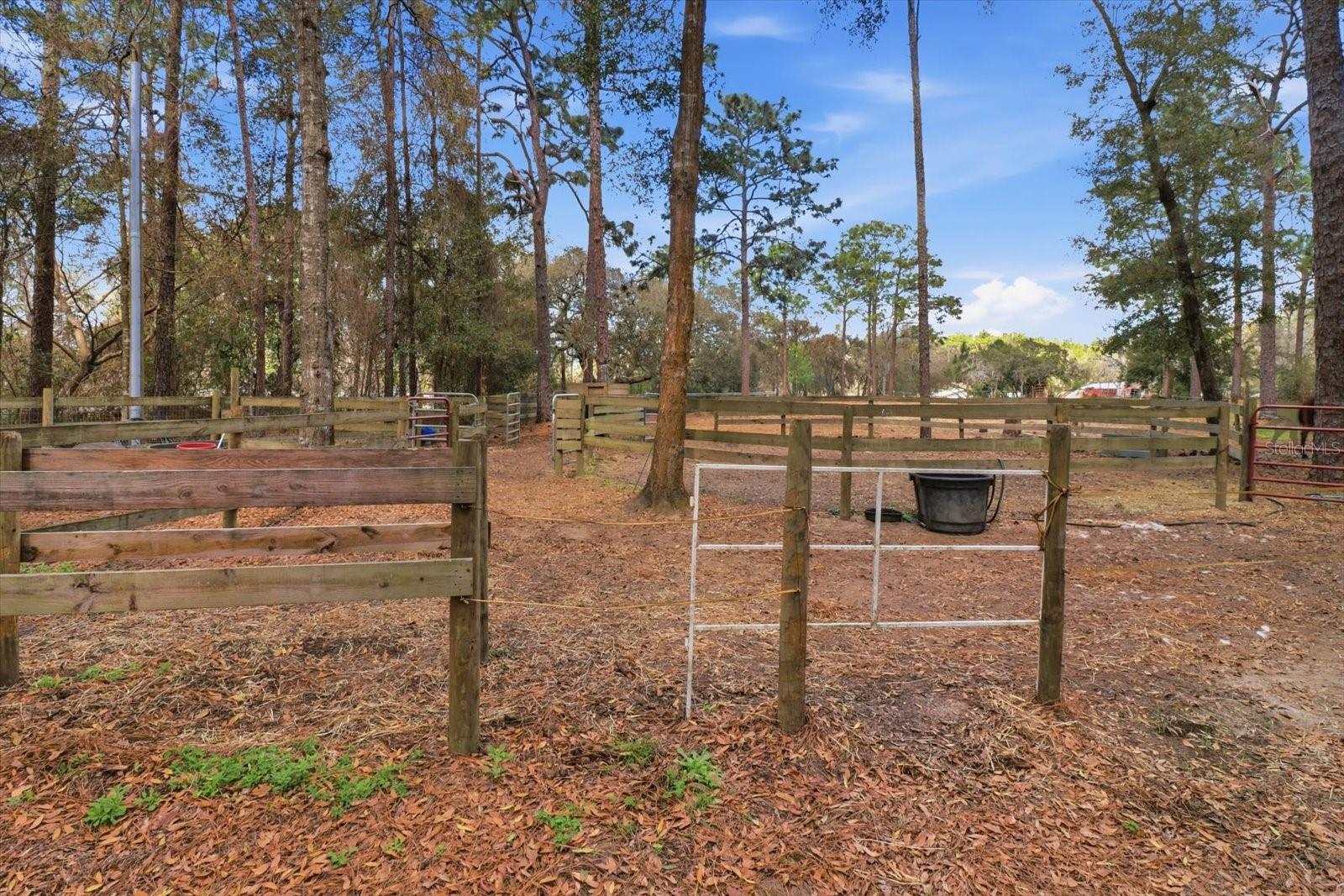 Listing photo id 49 for 8863 Evans Avenue