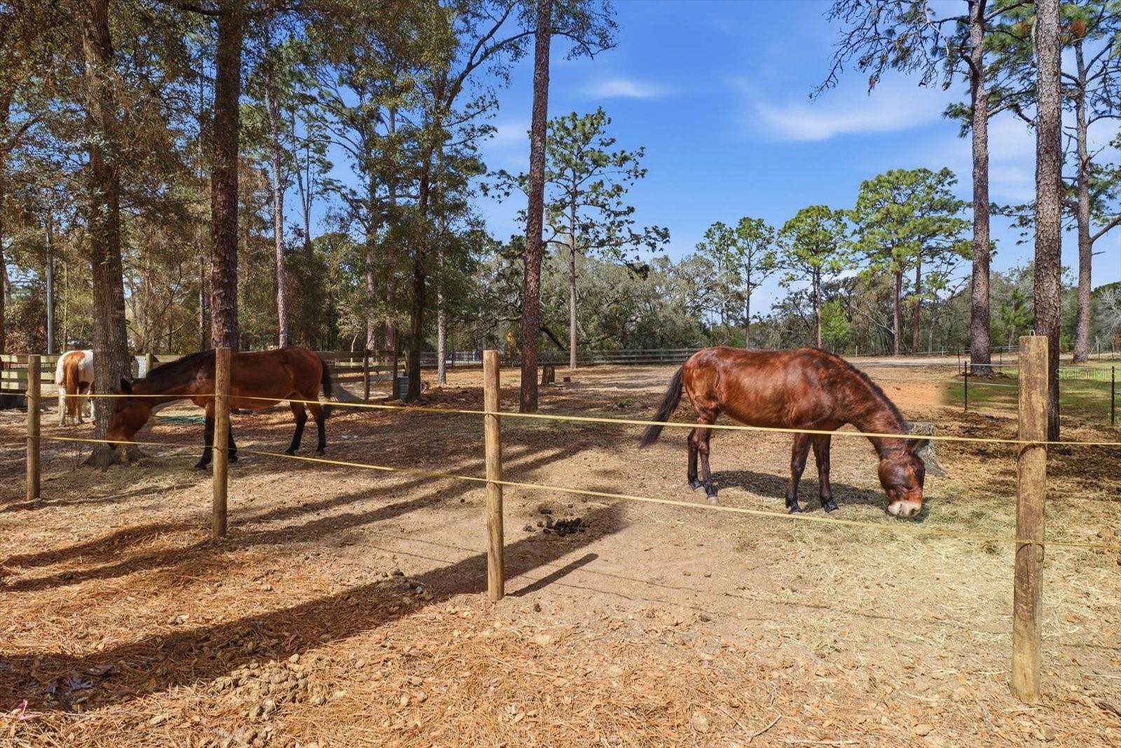 Listing photo id 50 for 8863 Evans Avenue