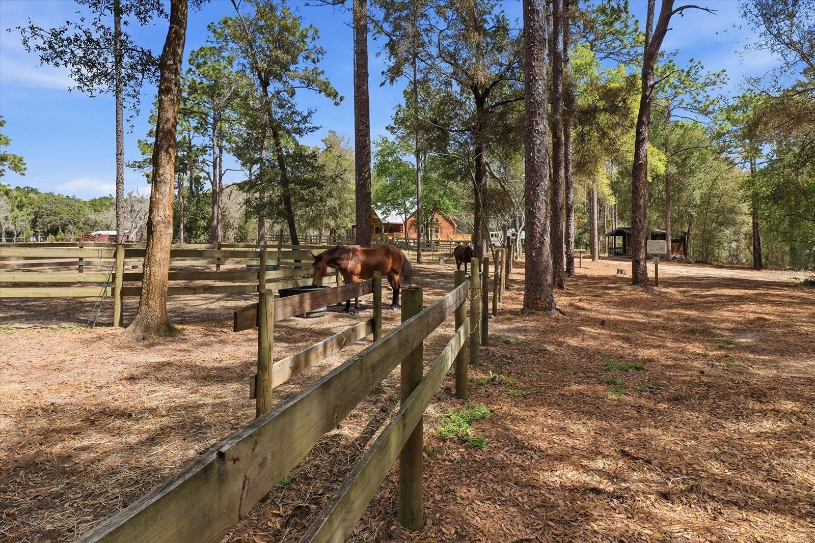 Listing photo id 51 for 8863 Evans Avenue