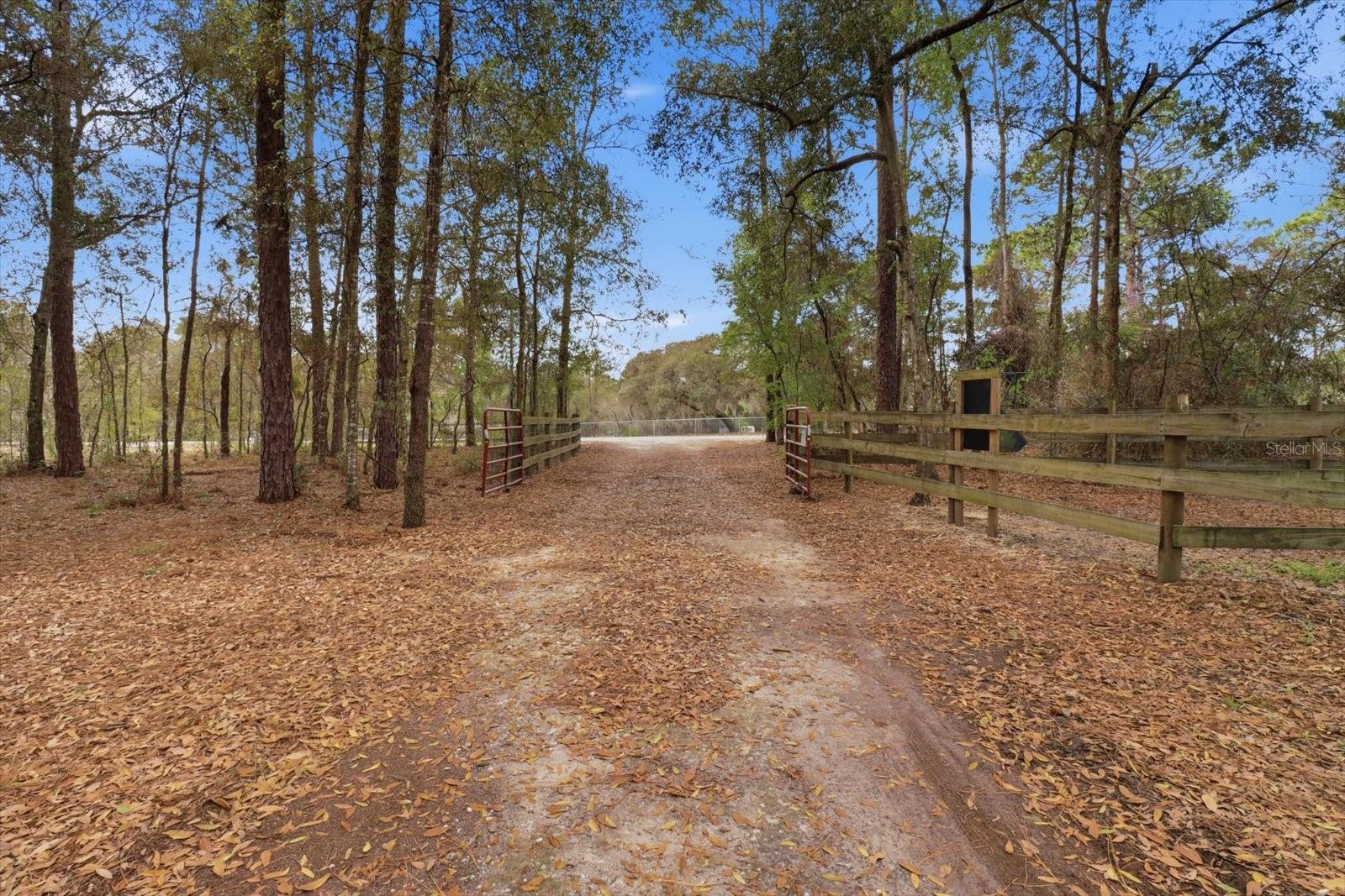 Listing photo id 53 for 8863 Evans Avenue