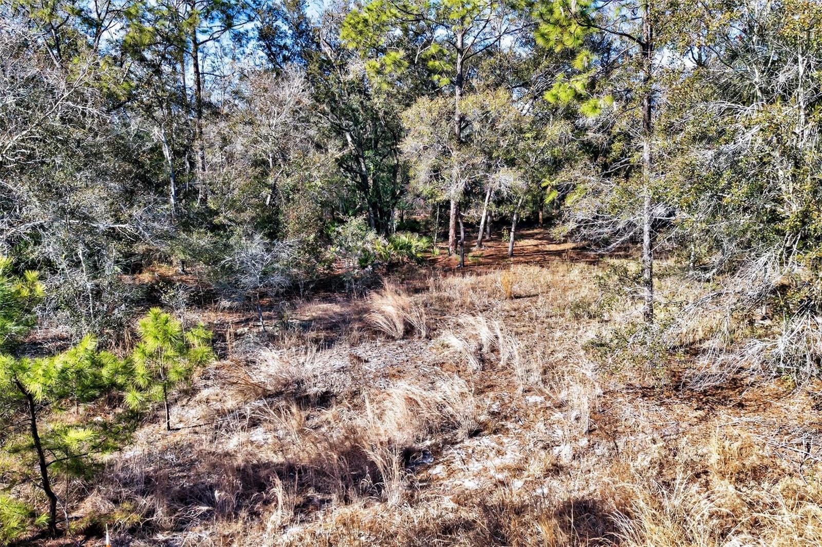 Image 10 of 20 For 10051 Marigold Terrace