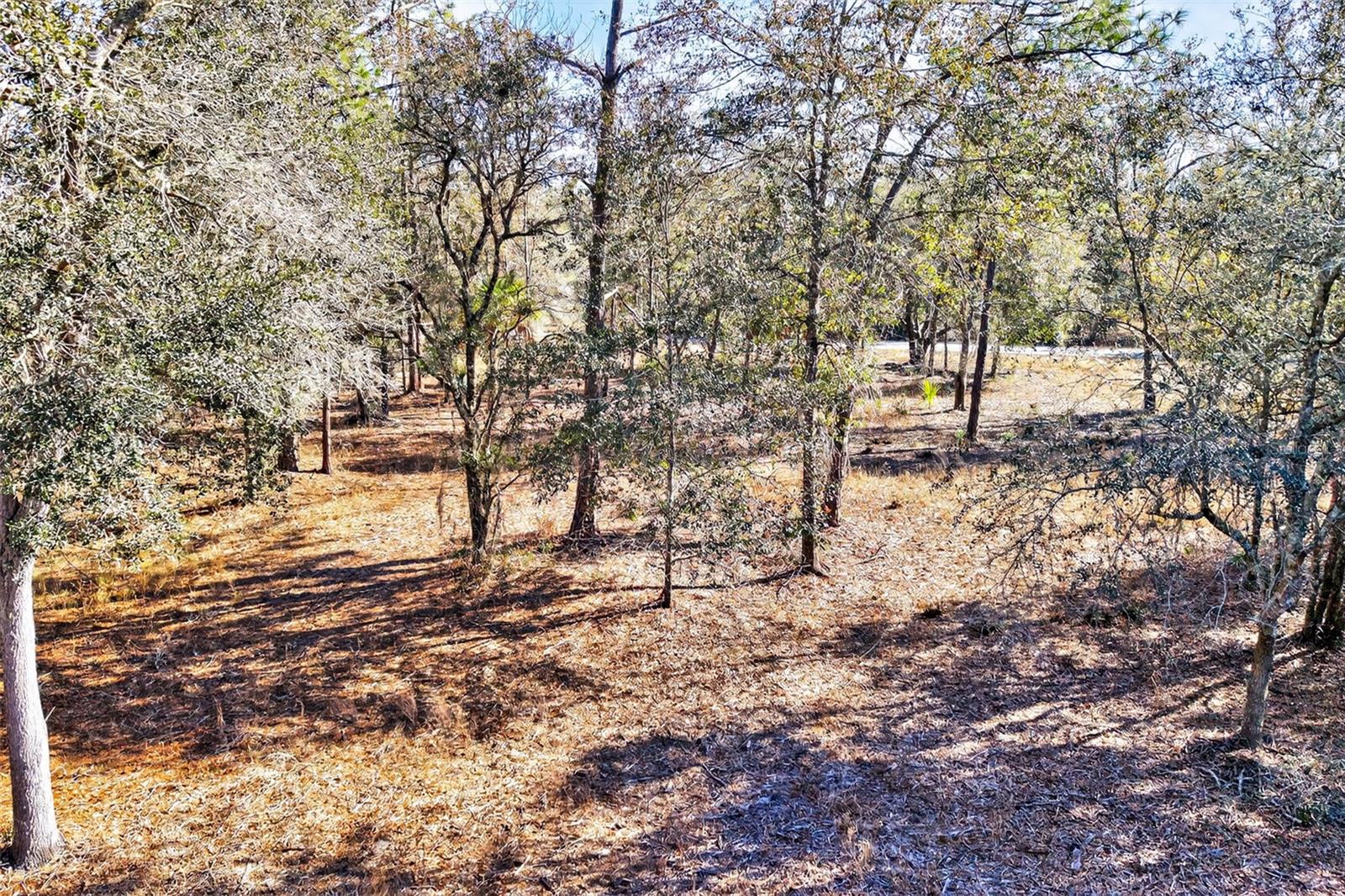 Image 11 of 20 For 10051 Marigold Terrace