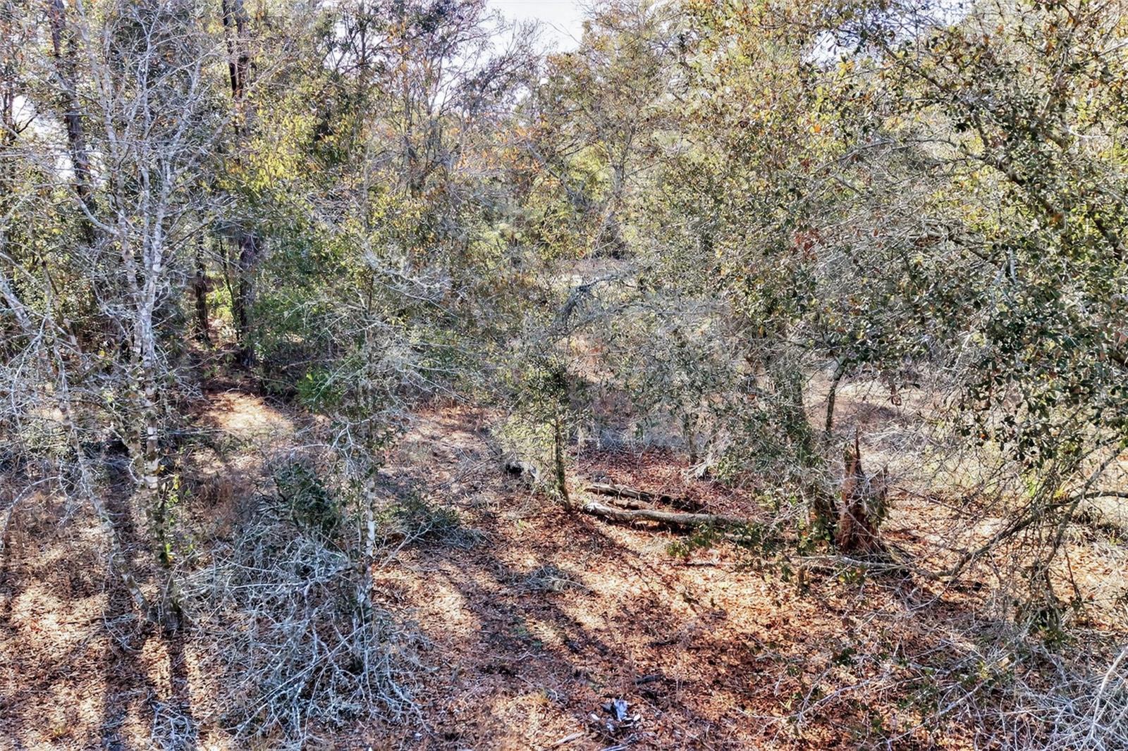 Image 12 of 20 For 10051 Marigold Terrace