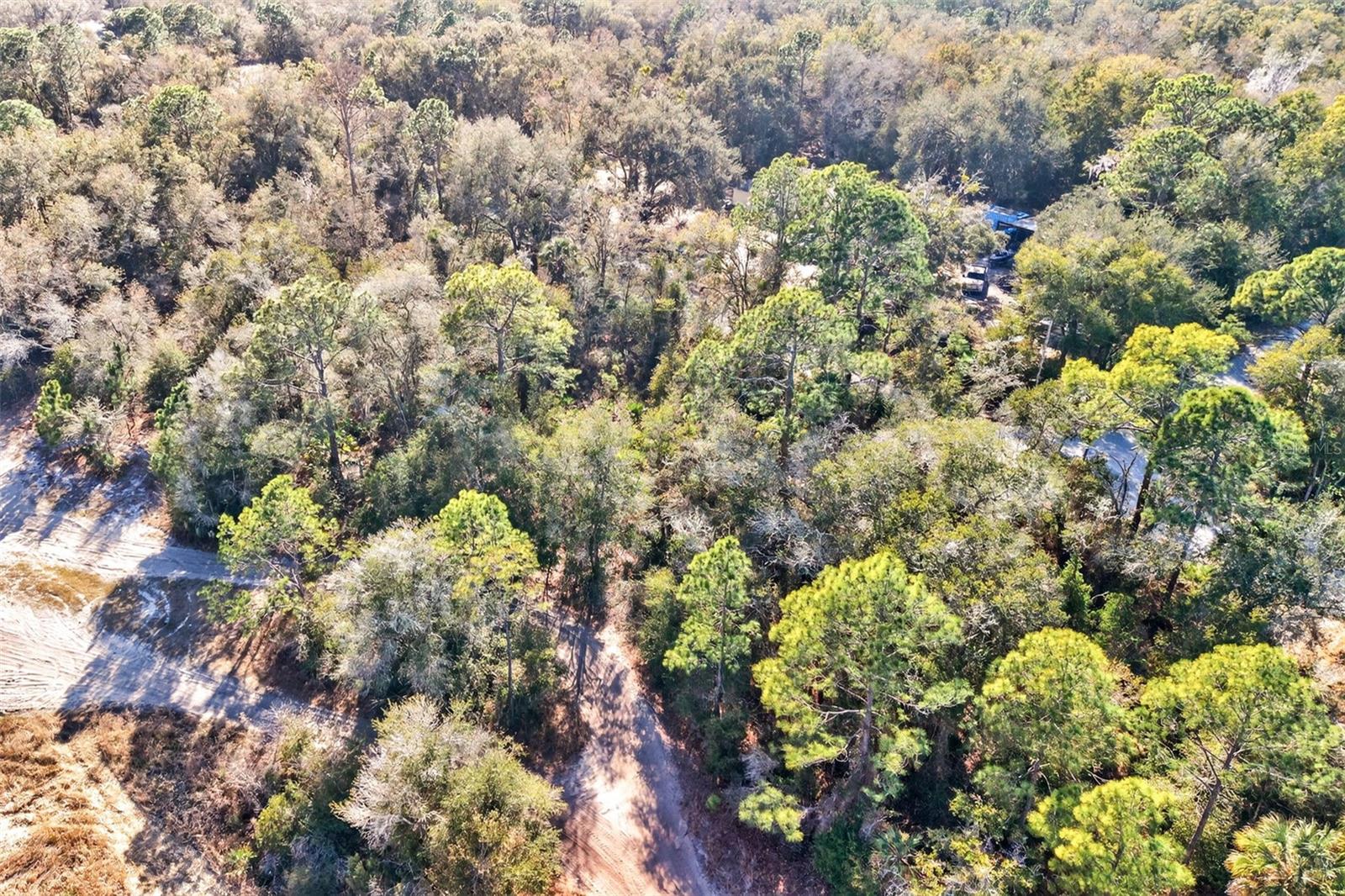 Image 13 of 20 For 10051 Marigold Terrace