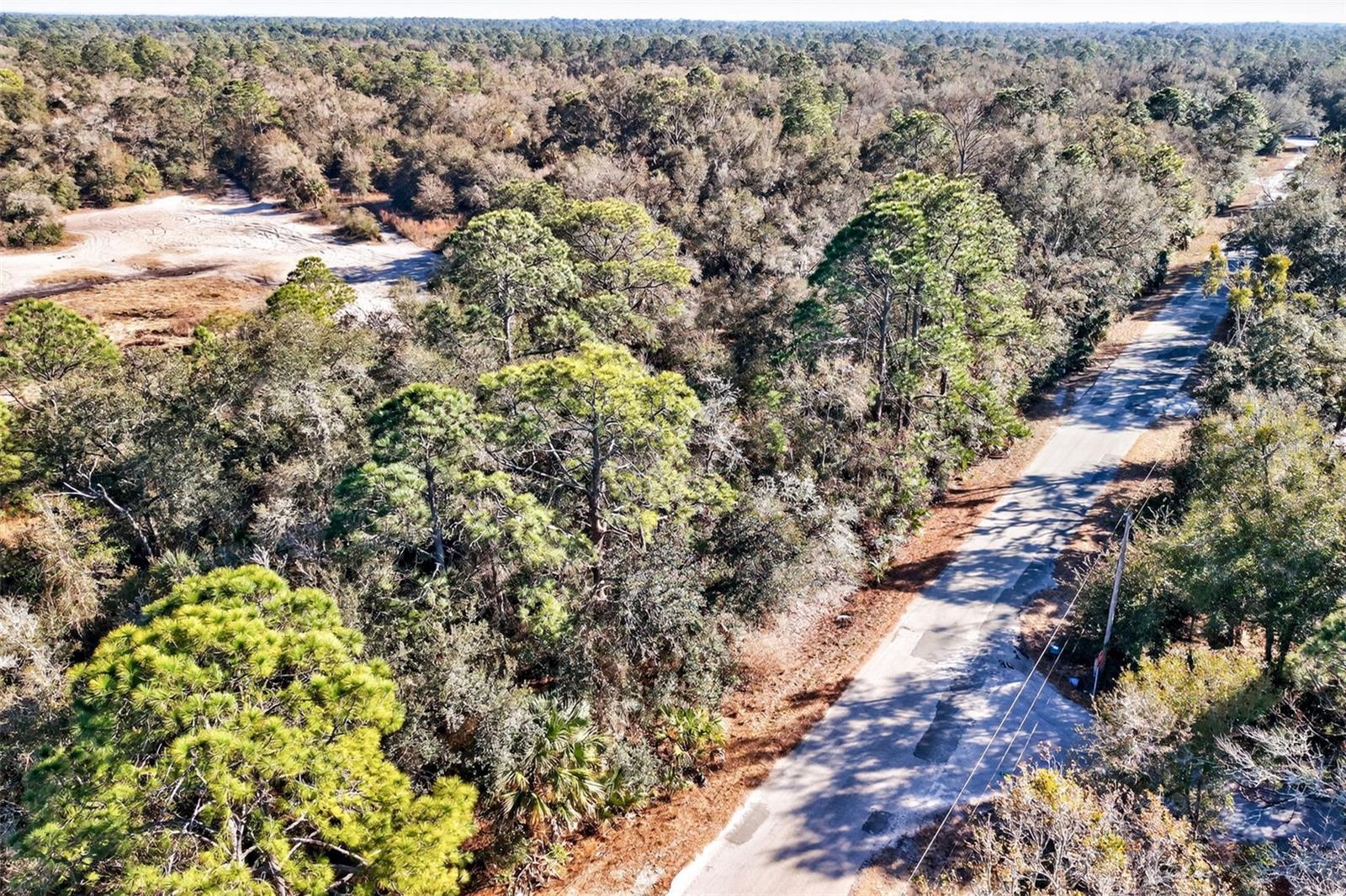 Image 14 of 20 For 10051 Marigold Terrace