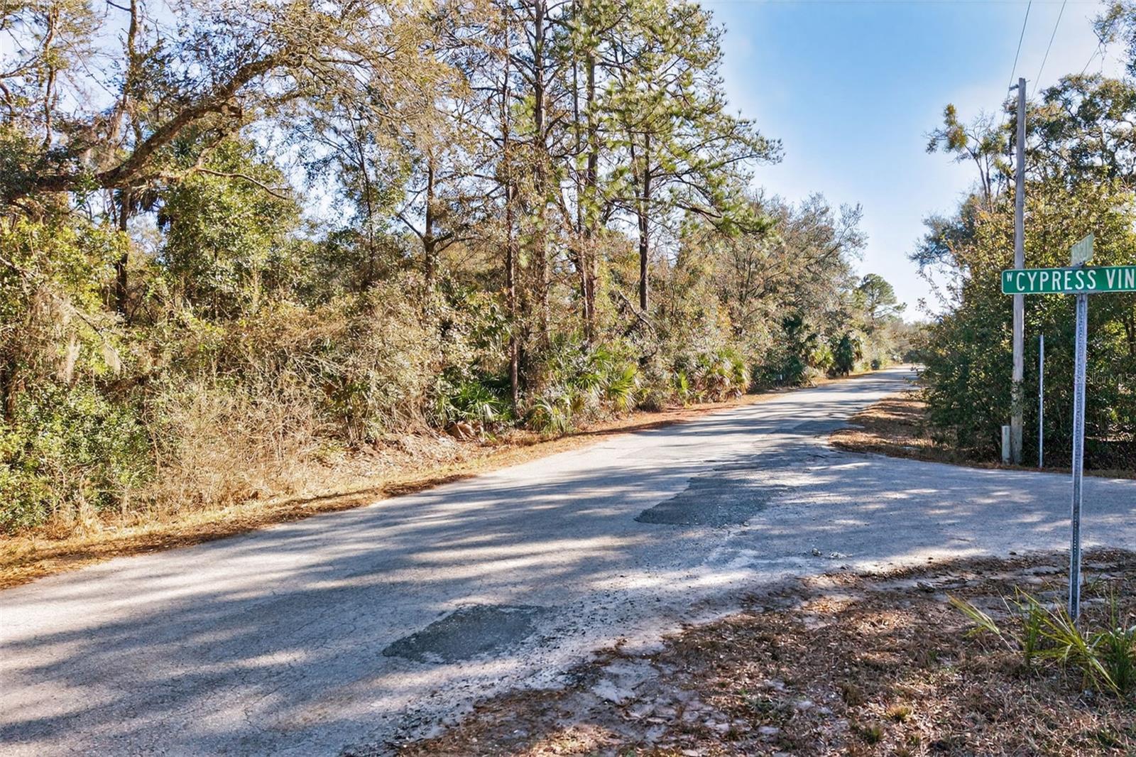 Image 15 of 20 For 10051 Marigold Terrace