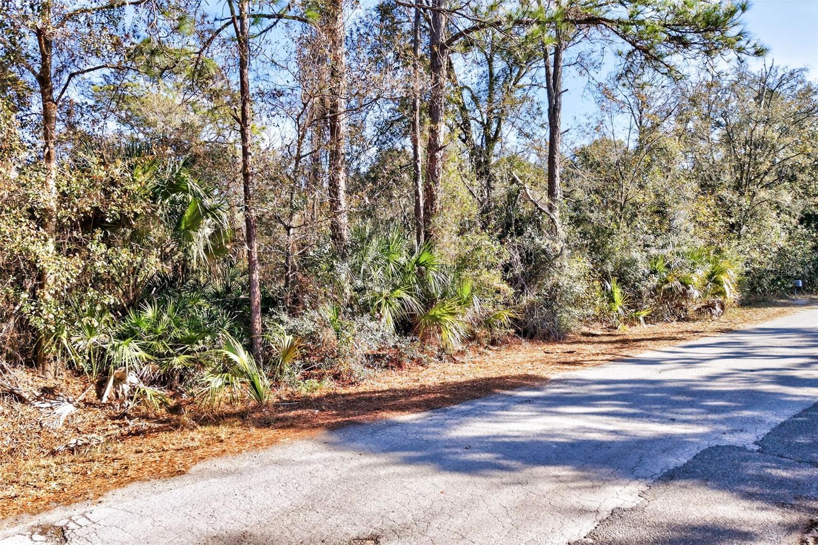 Image 16 of 20 For 10051 Marigold Terrace