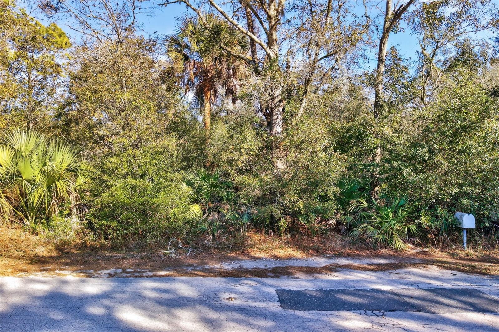 Image 17 of 20 For 10051 Marigold Terrace