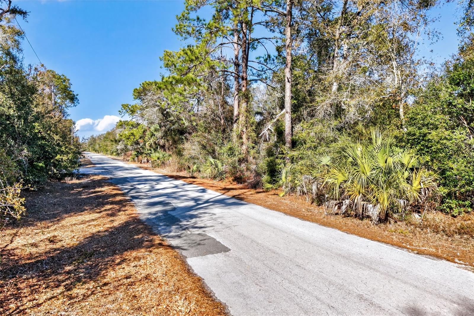 Image 18 of 20 For 10051 Marigold Terrace