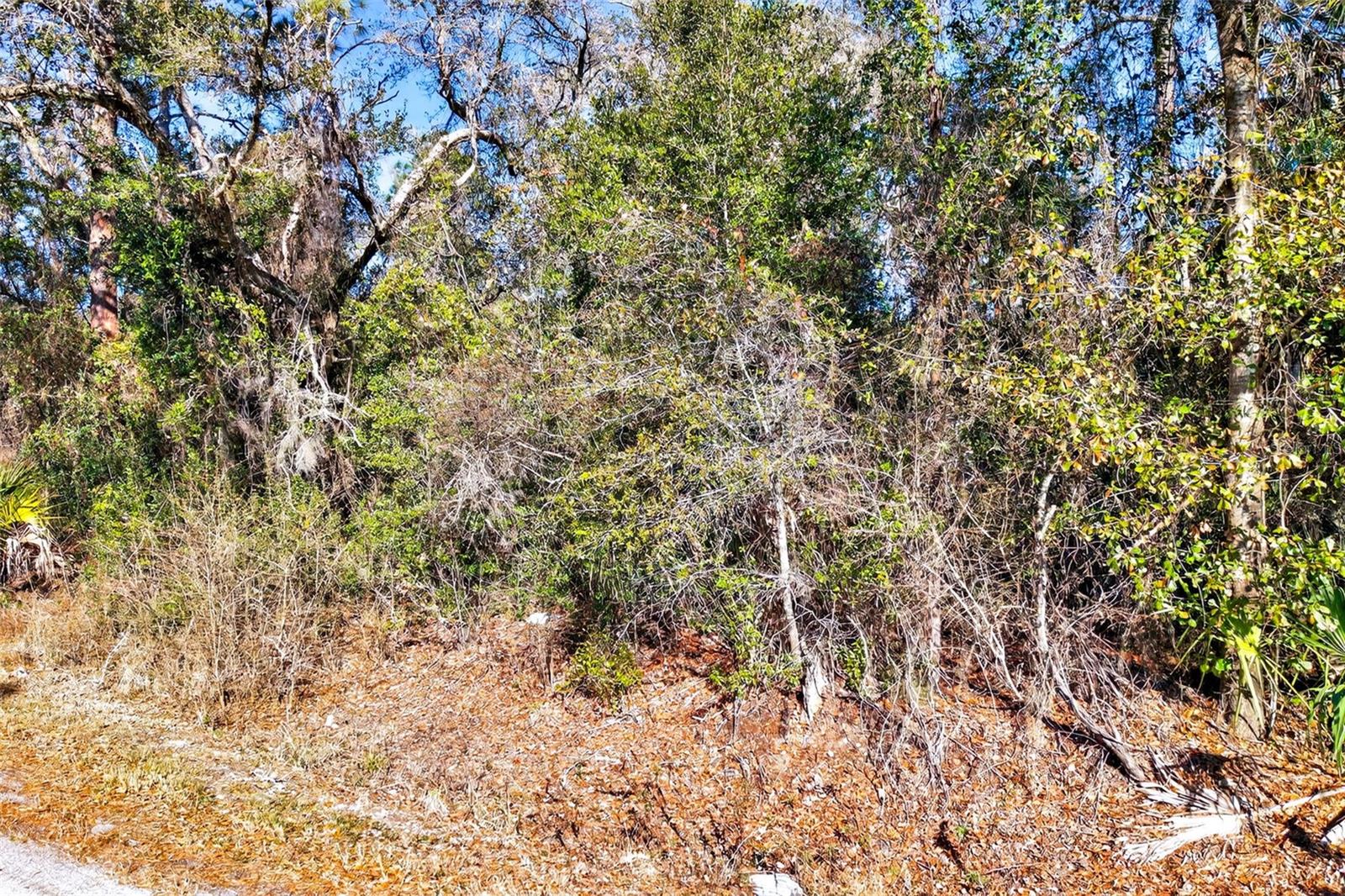 Image 19 of 20 For 10051 Marigold Terrace