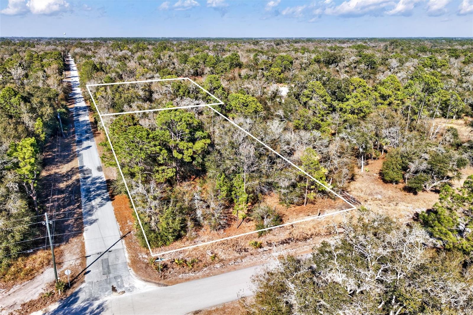 Image 2 of 20 For 10051 Marigold Terrace