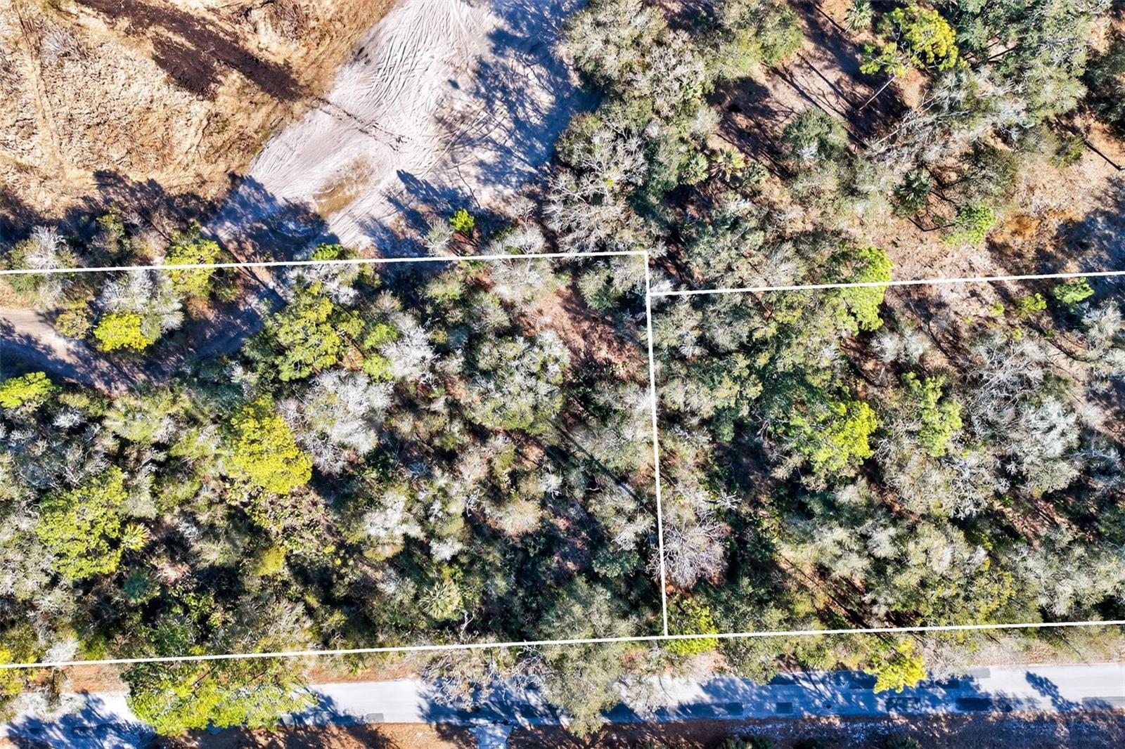 Image 5 of 20 For 10051 Marigold Terrace