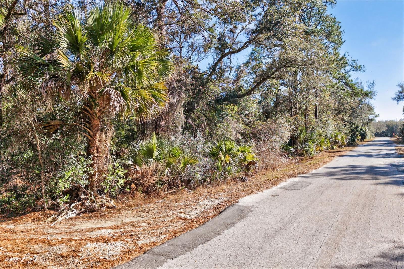 Image 6 of 20 For 10051 Marigold Terrace