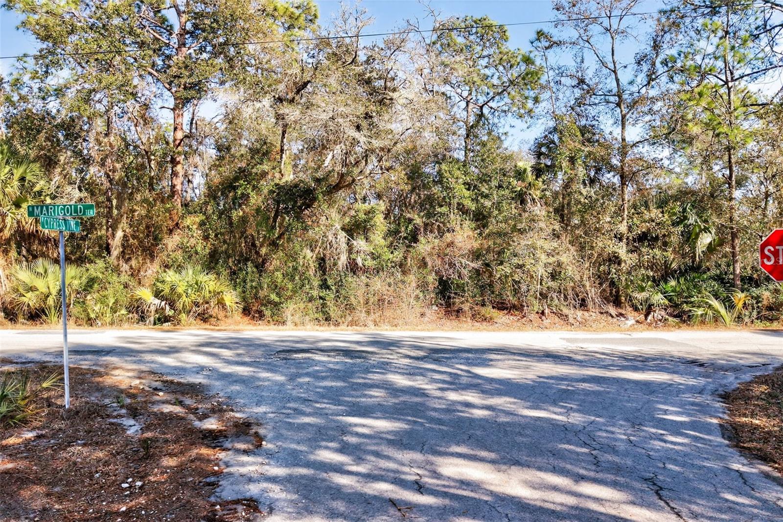 Image 7 of 20 For 10051 Marigold Terrace