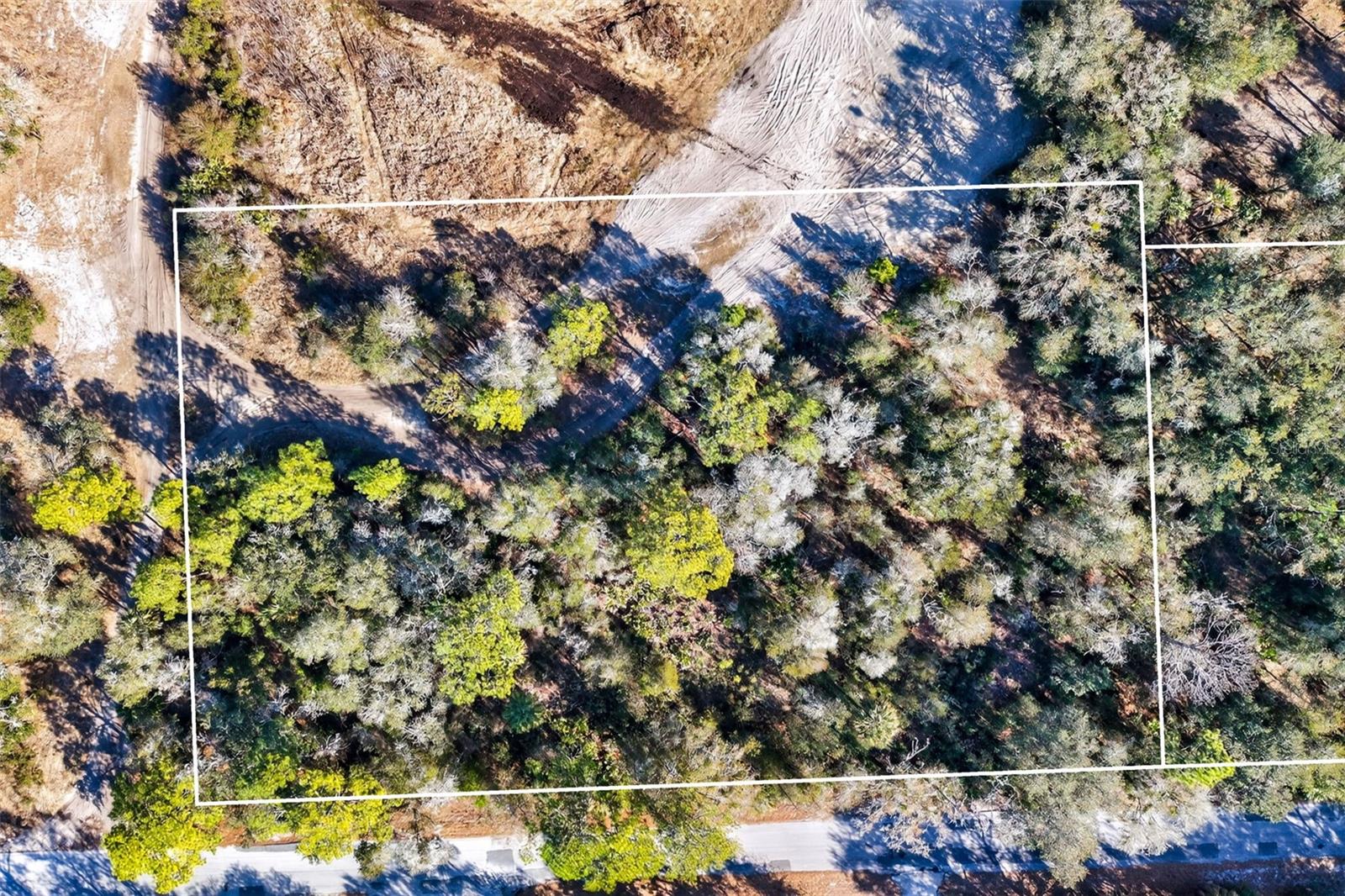 Image 8 of 20 For 10051 Marigold Terrace