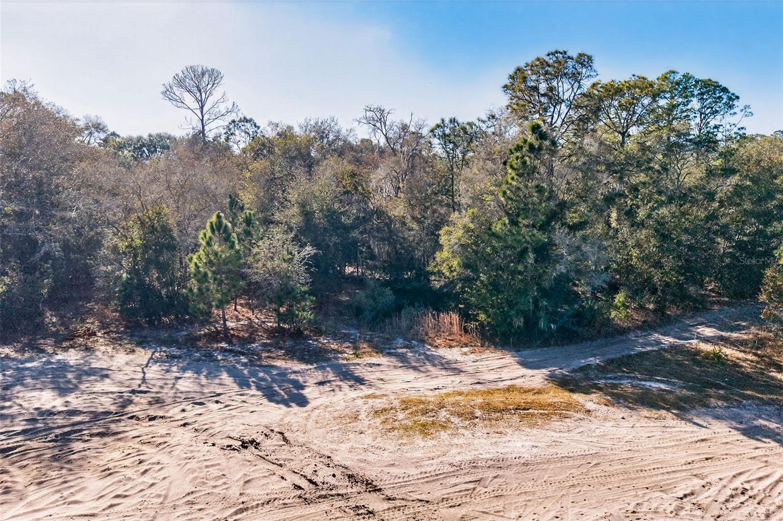 Image 9 of 20 For 10051 Marigold Terrace