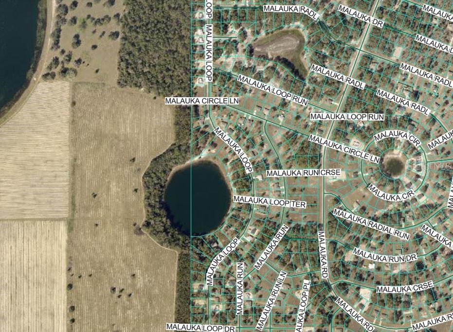 Image 3 of 3 For  Malauka Run 