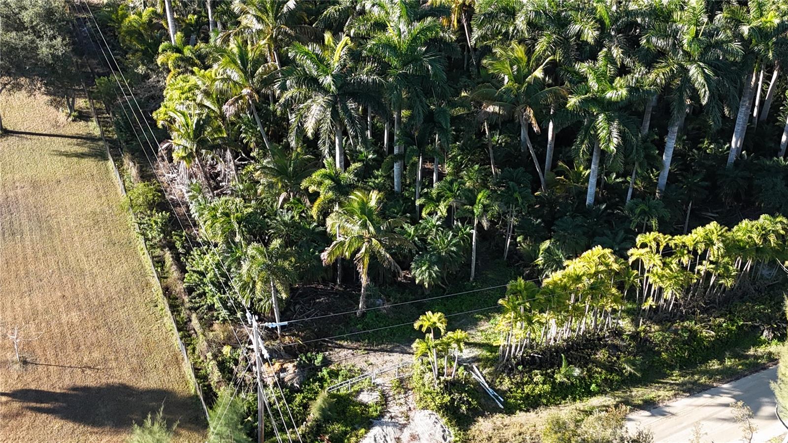 Image 10 of 46 For 12434 Eagles Nest Drive