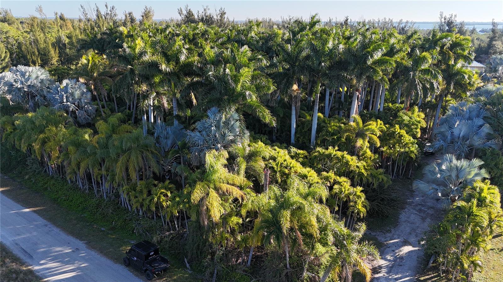 Image 2 of 46 For 12434 Eagles Nest Drive