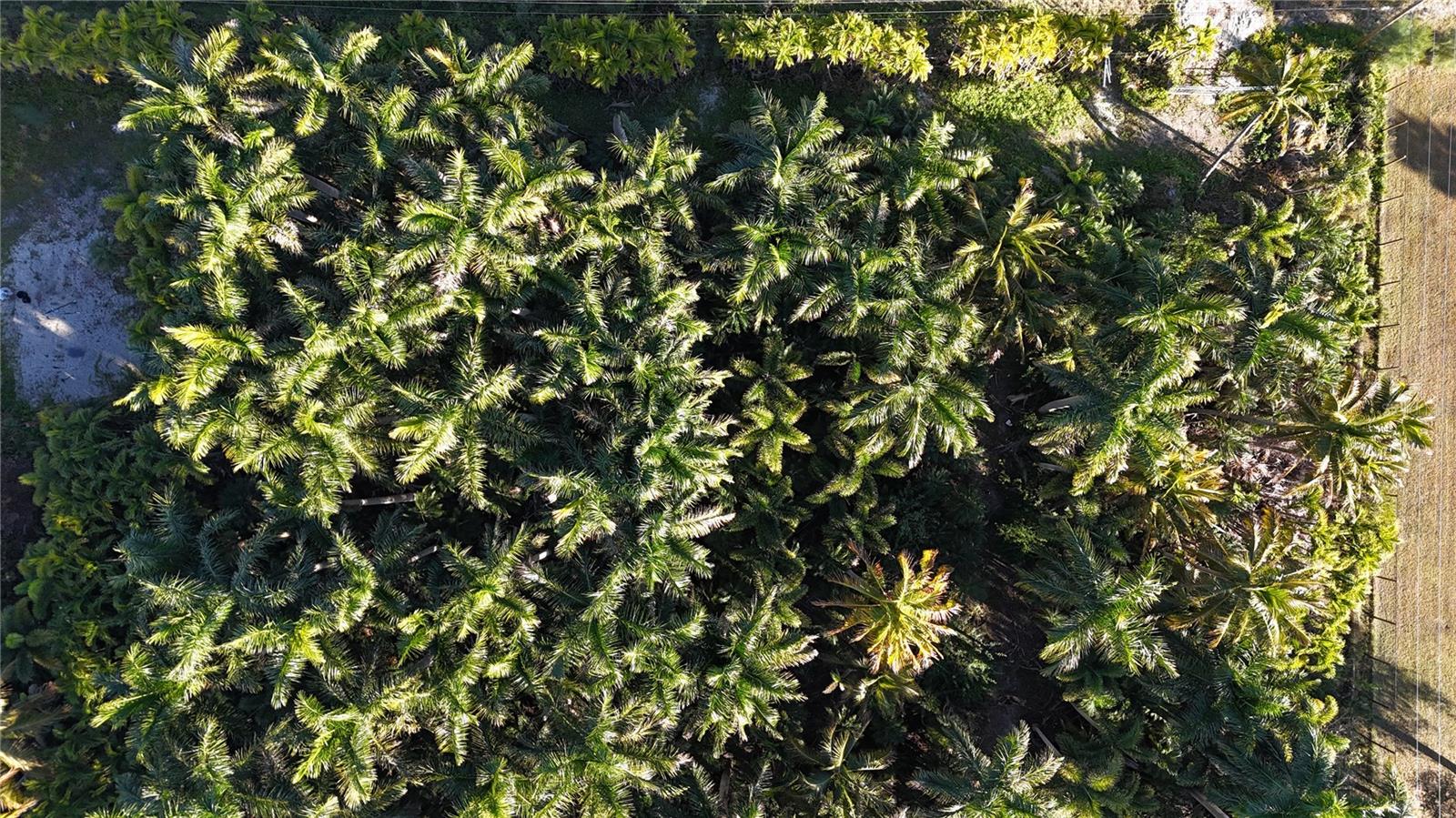 Image 21 of 46 For 12434 Eagles Nest Drive