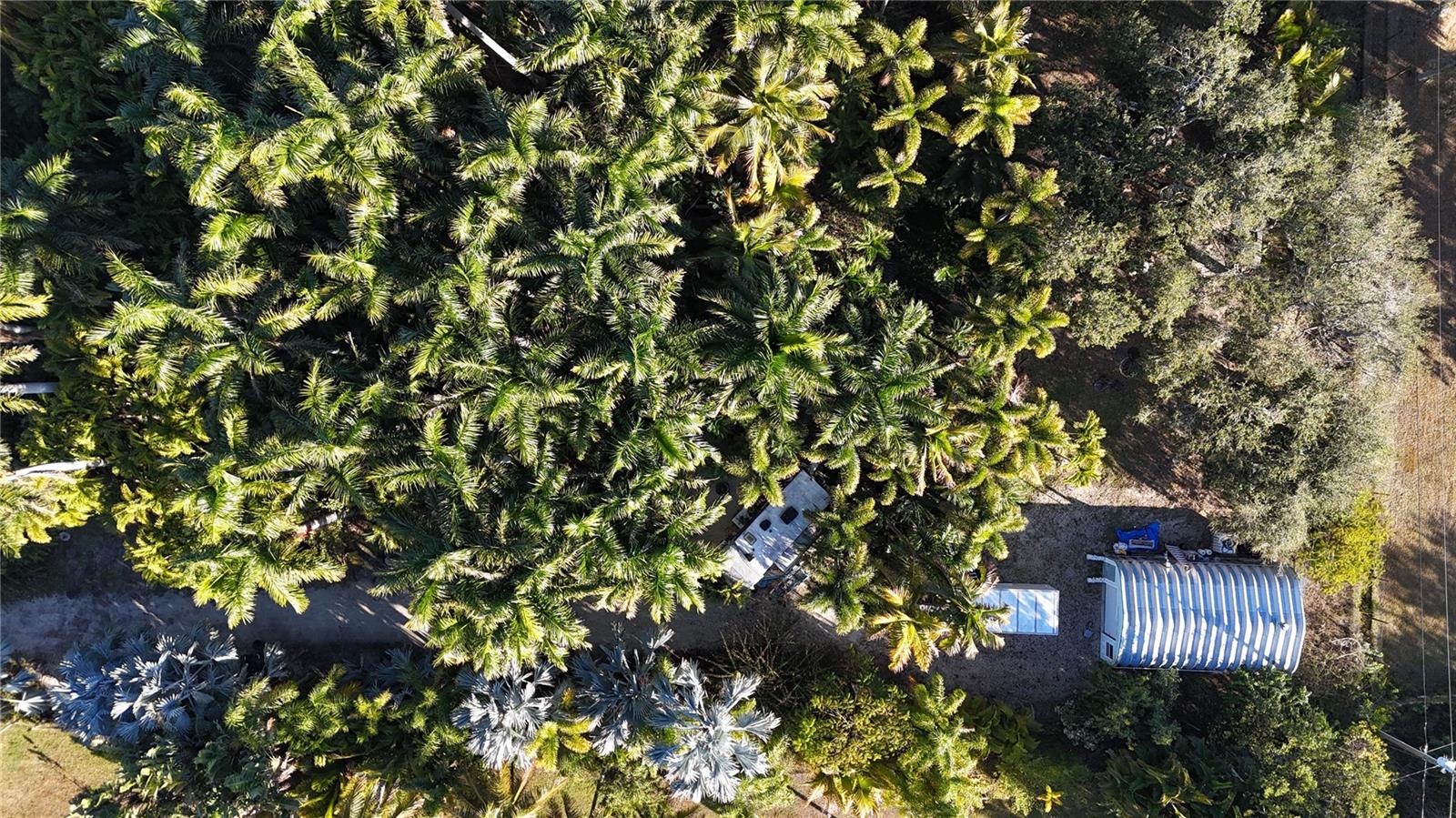 Image 22 of 46 For 12434 Eagles Nest Drive