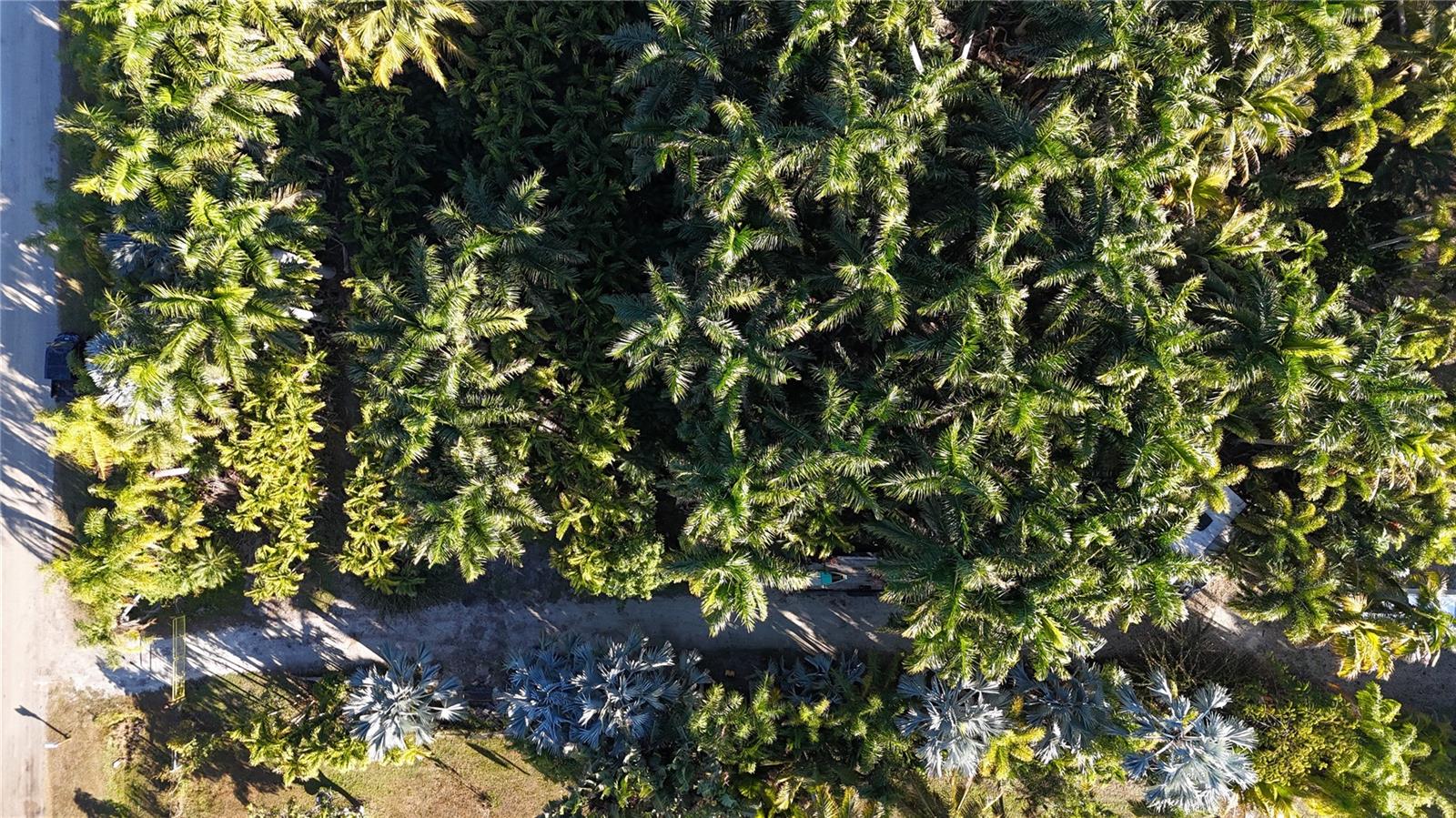 Image 23 of 46 For 12434 Eagles Nest Drive