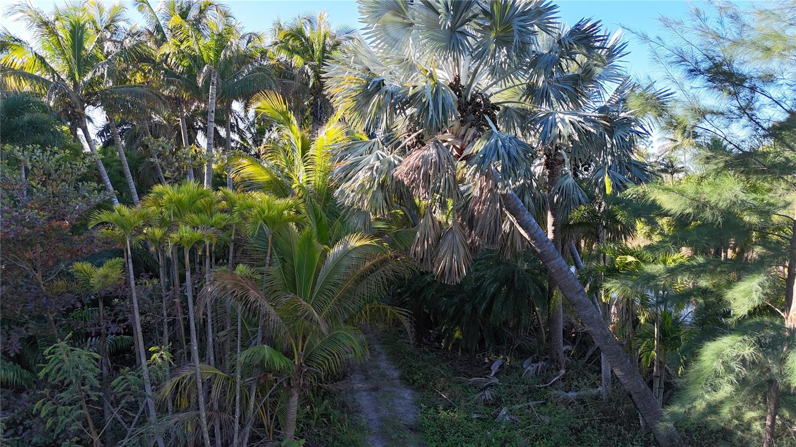 Image 25 of 46 For 12434 Eagles Nest Drive