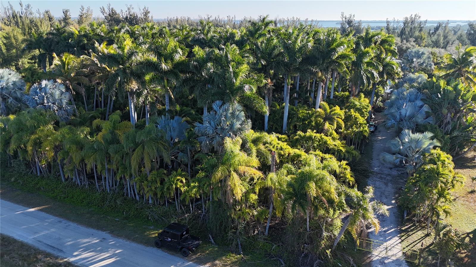 Image 3 of 46 For 12434 Eagles Nest Drive