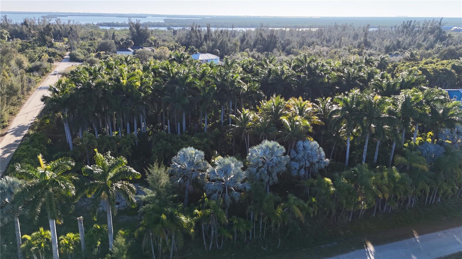 Image 34 of 46 For 12434 Eagles Nest Drive