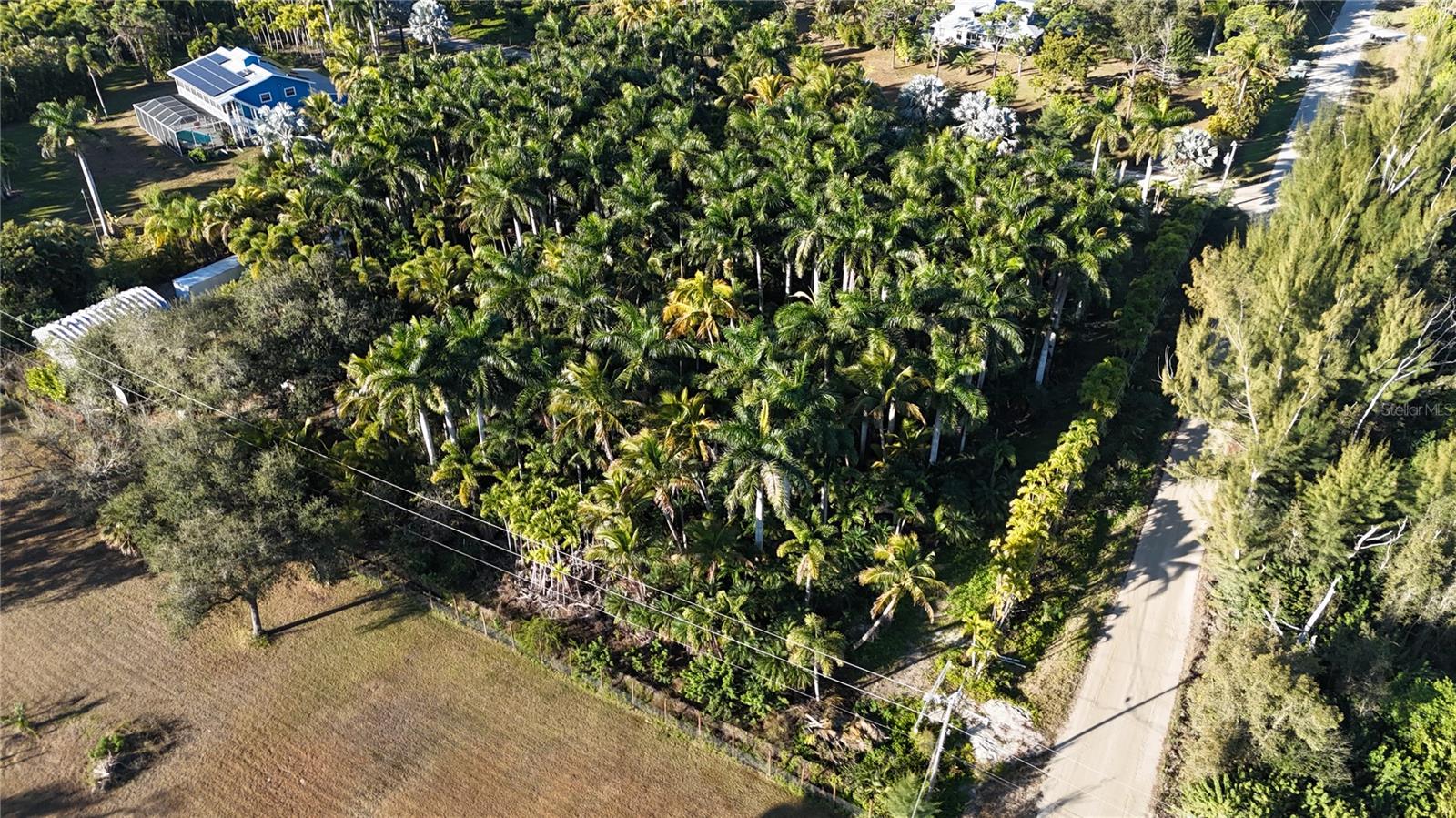 Image 36 of 46 For 12434 Eagles Nest Drive