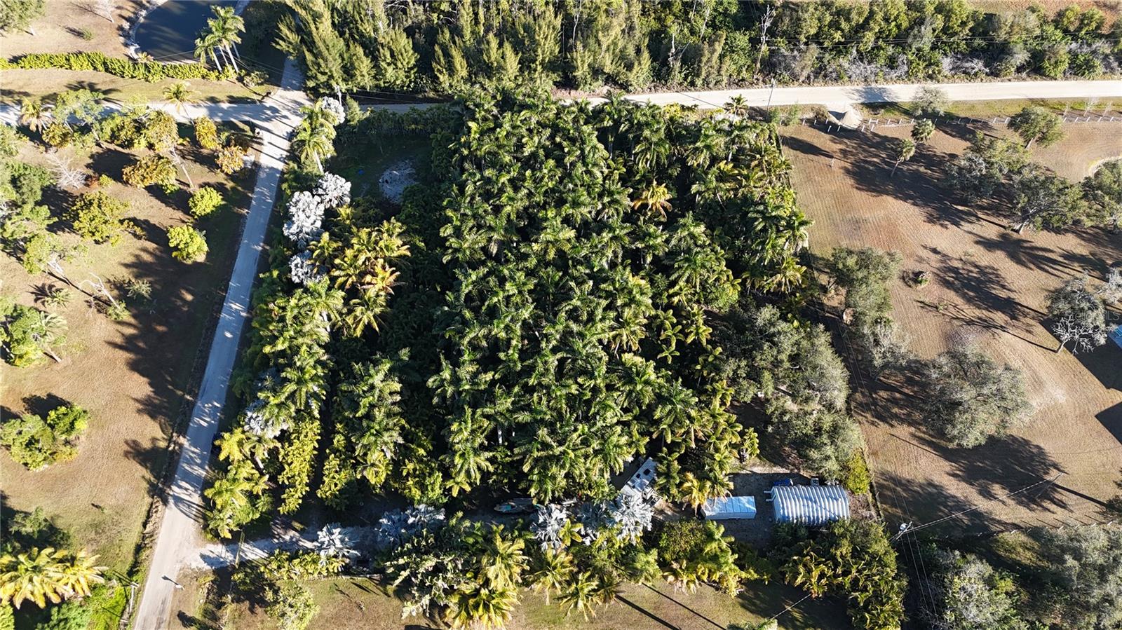 Image 38 of 46 For 12434 Eagles Nest Drive