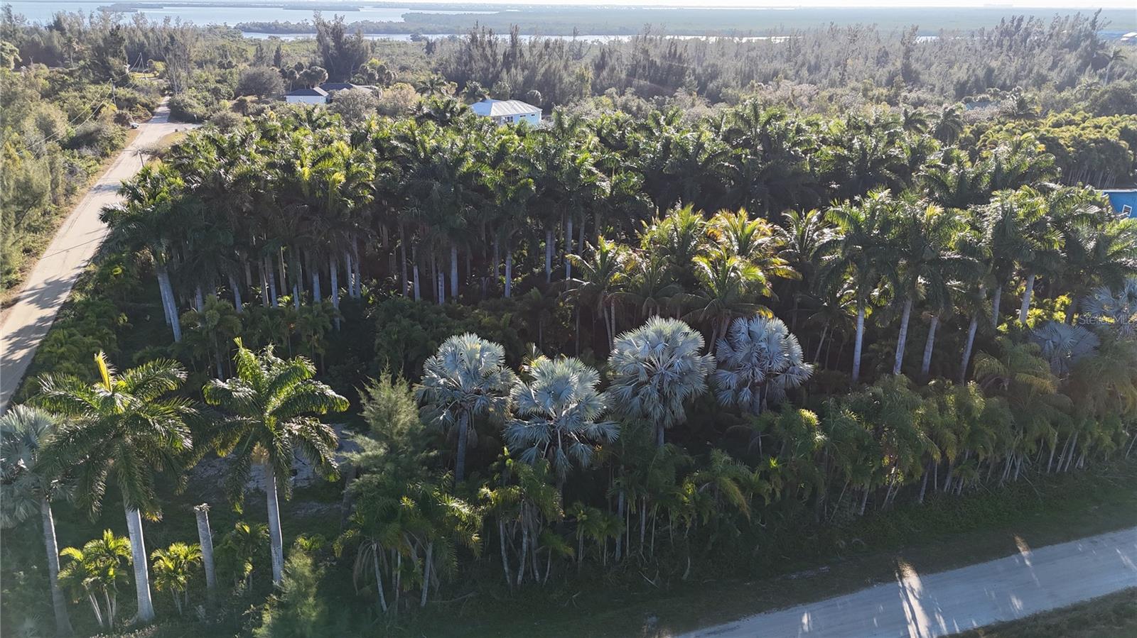 Image 4 of 46 For 12434 Eagles Nest Drive