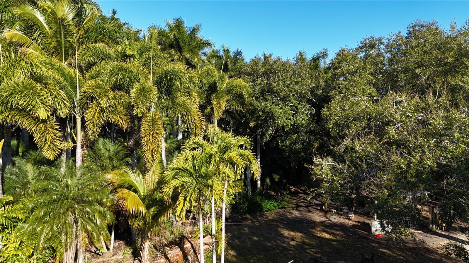 Image 46 of 46 For 12434 Eagles Nest Drive