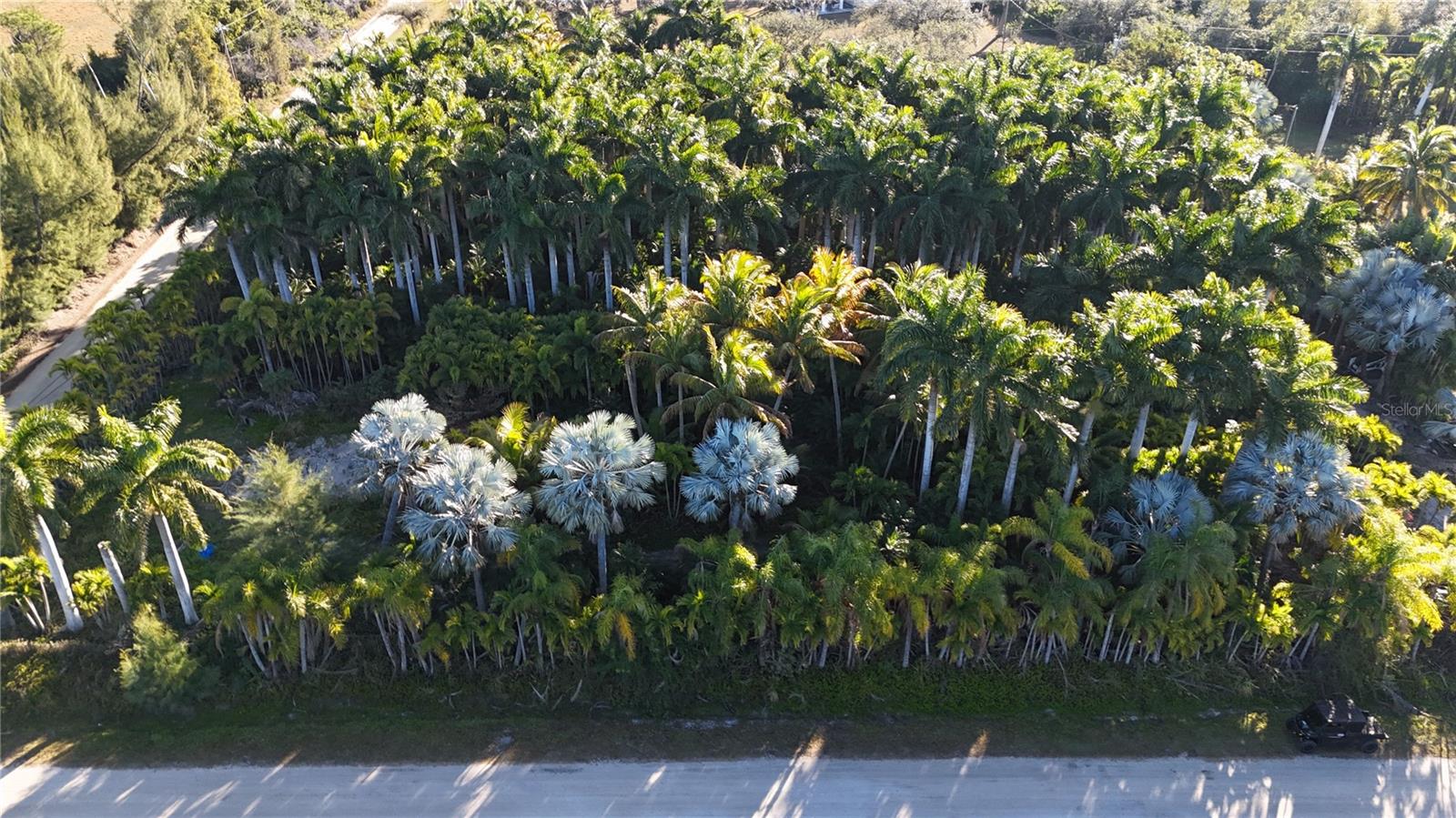 Image 5 of 46 For 12434 Eagles Nest Drive