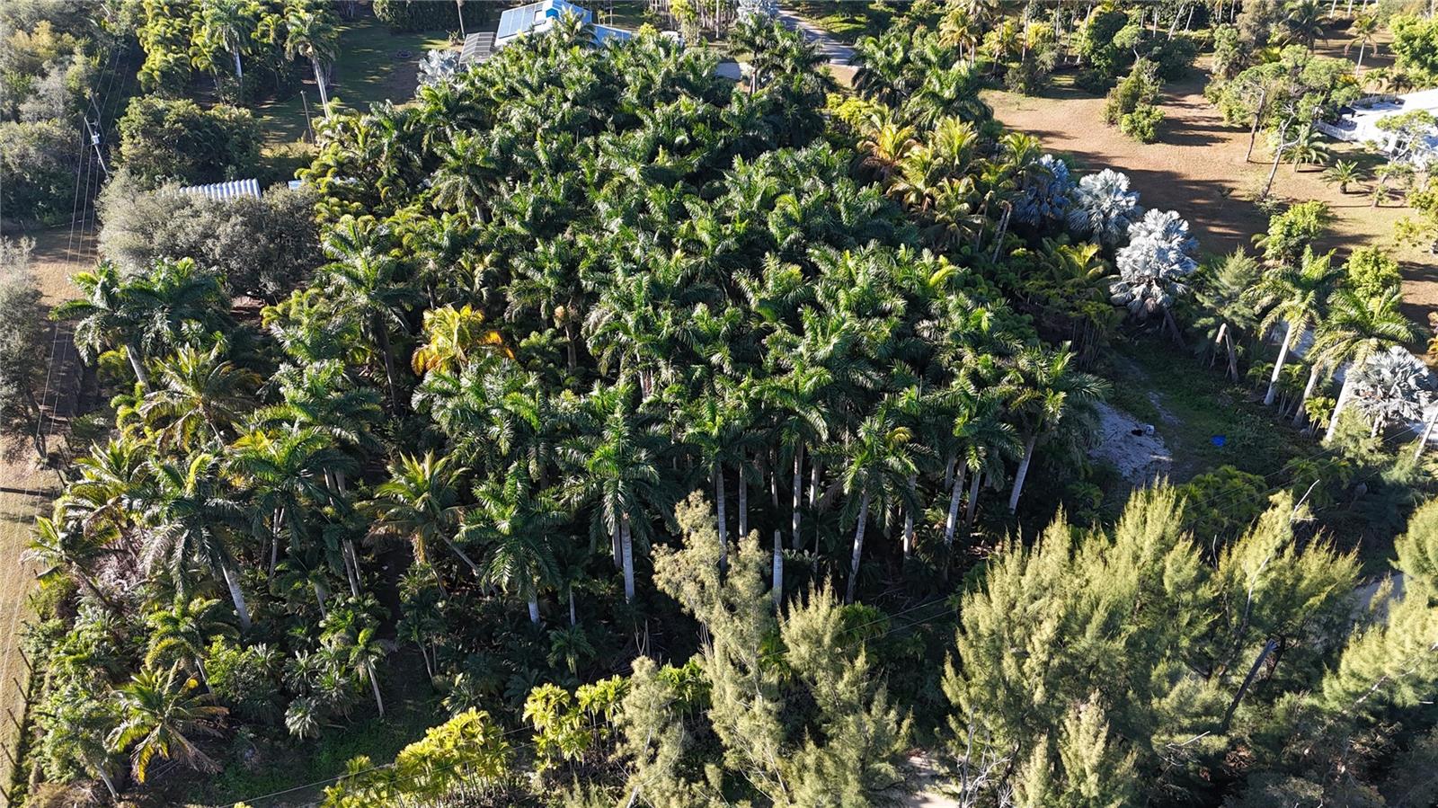 Image 8 of 46 For 12434 Eagles Nest Drive