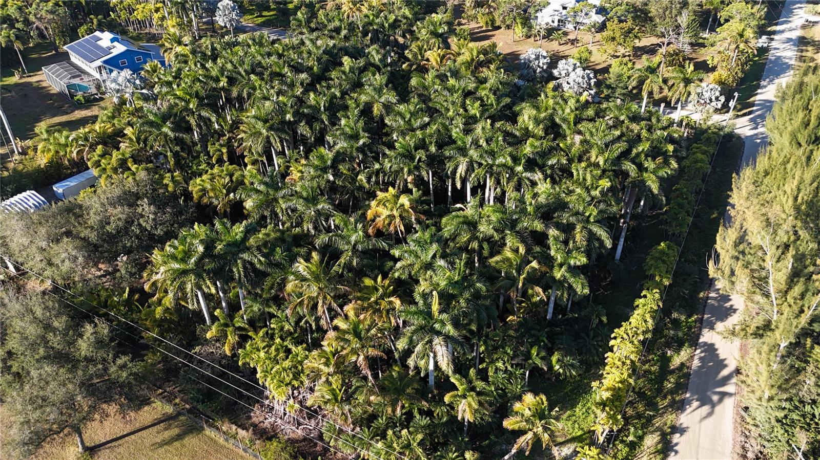 Image 9 of 46 For 12434 Eagles Nest Drive