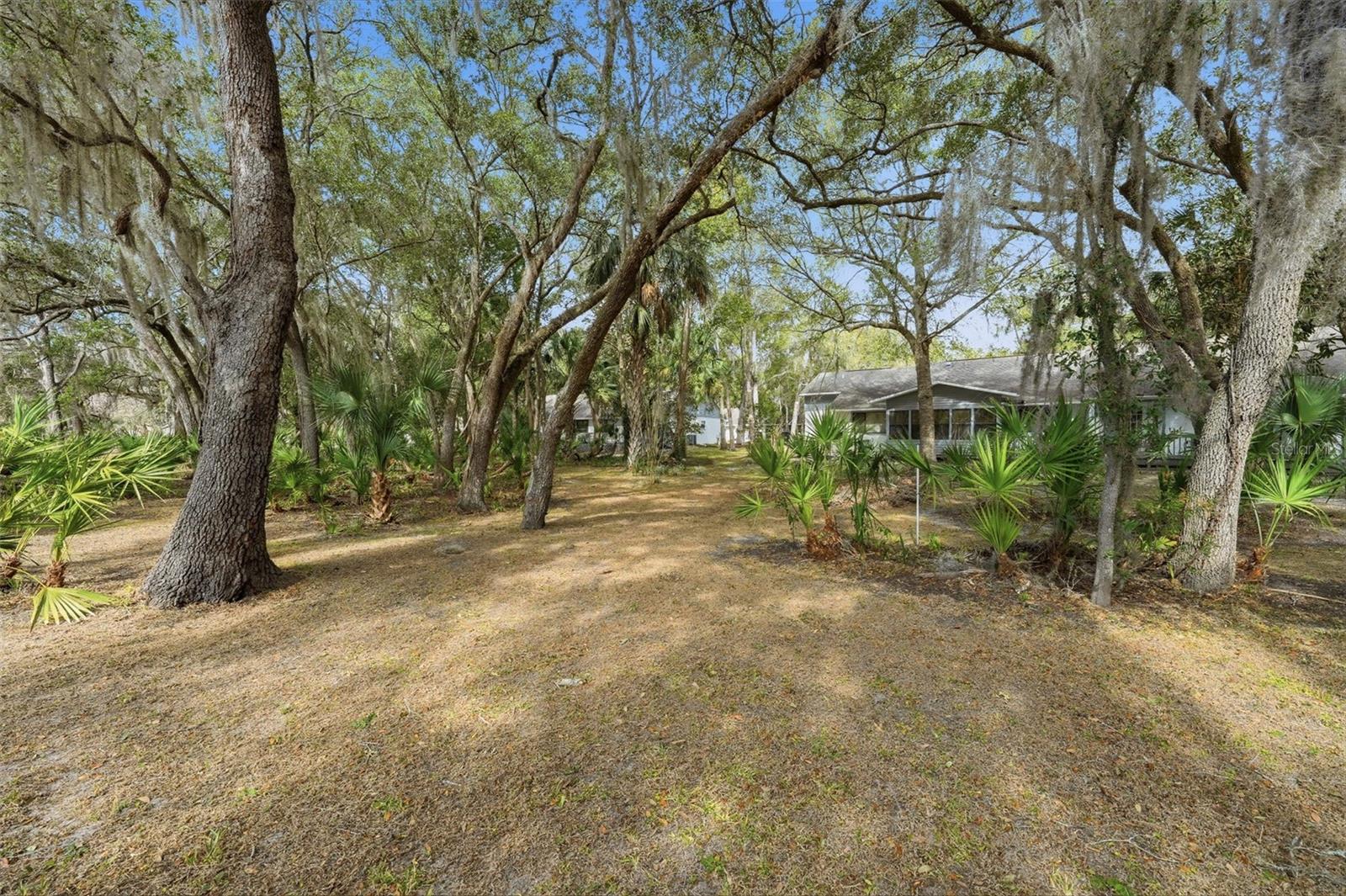 Image 12 of 48 For 554 Cherry Laurel Court