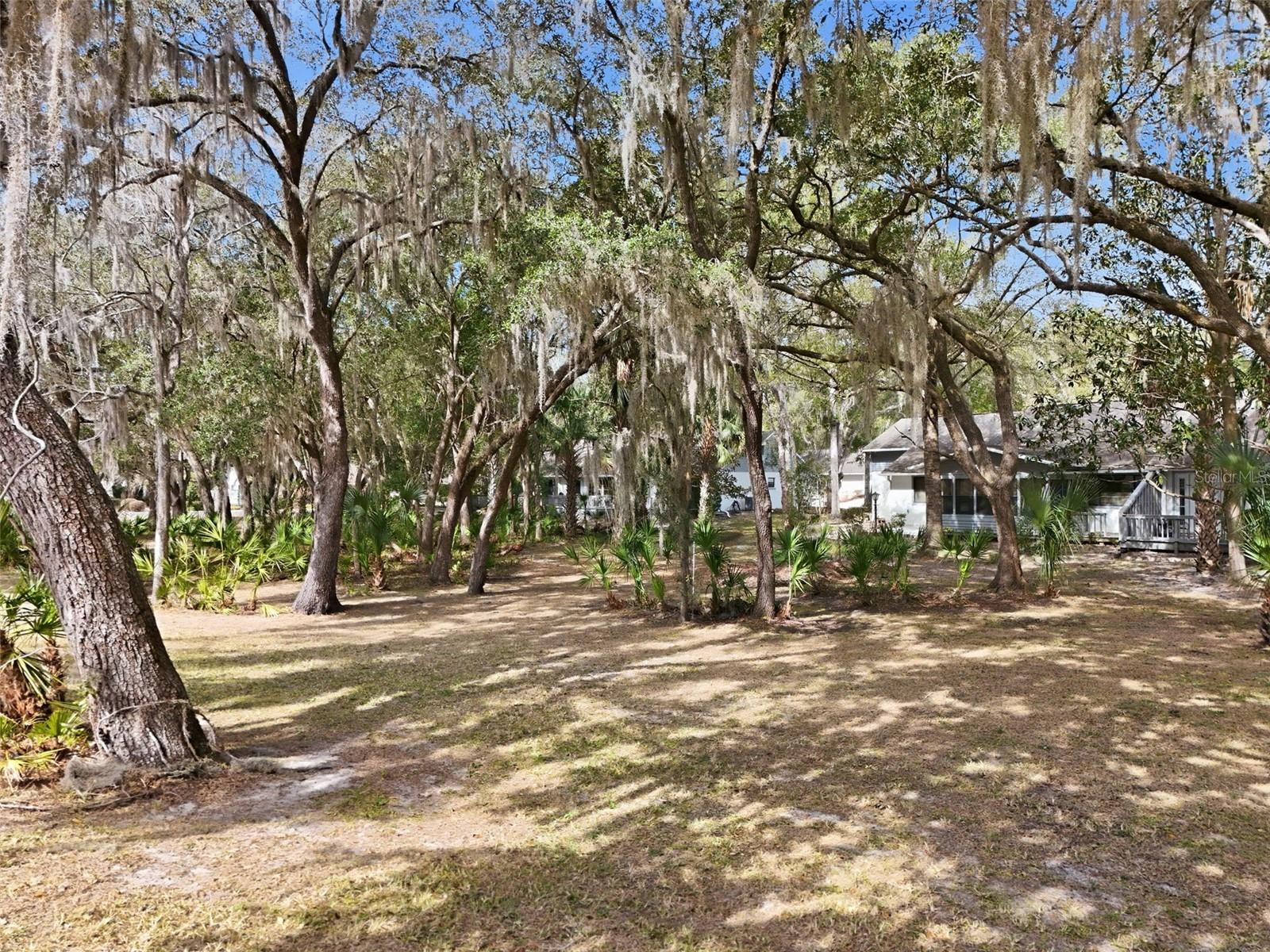 Image 46 of 48 For 554 Cherry Laurel Court