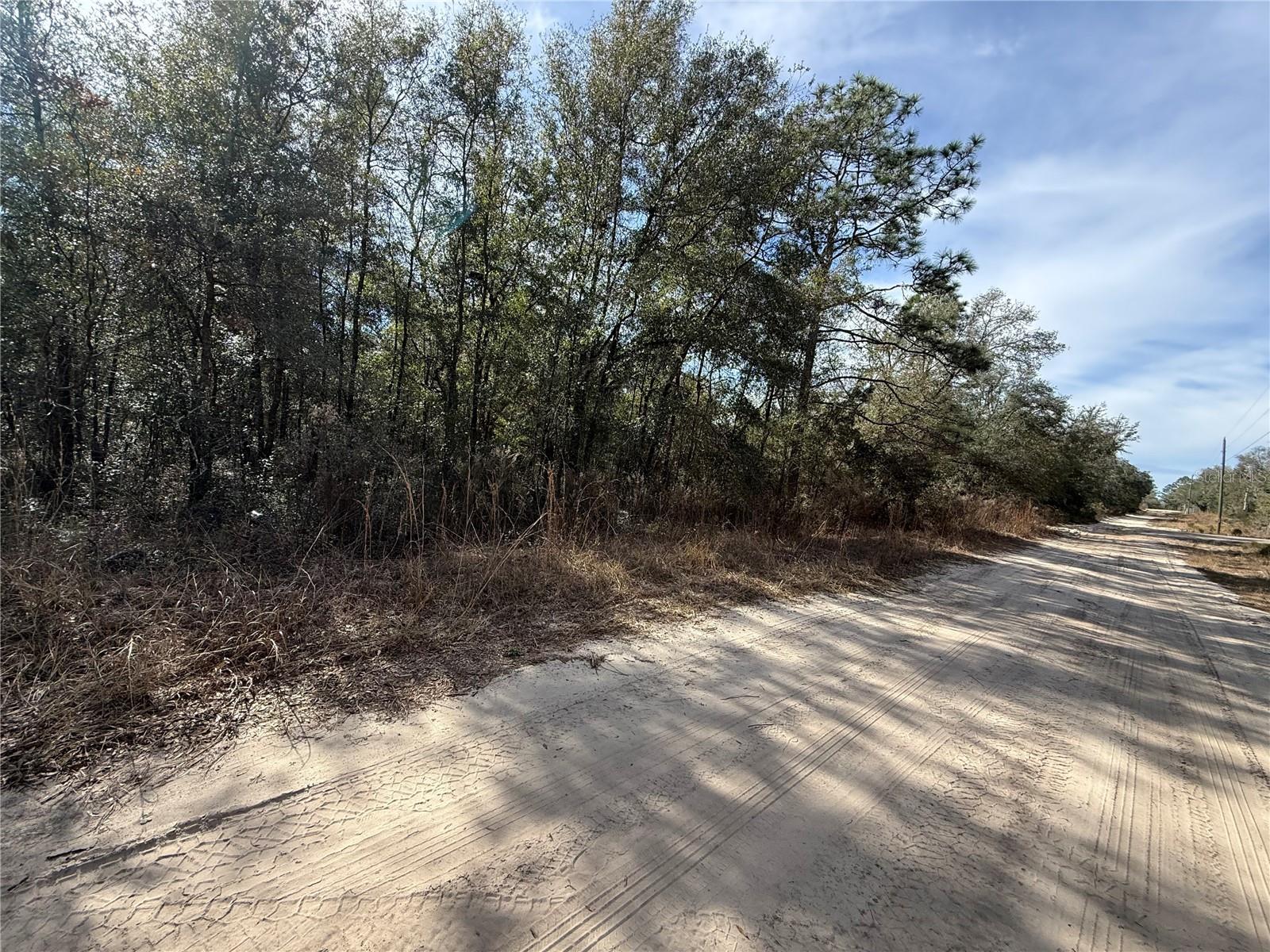 Details for 0000 82nd Place, BRONSON, FL 32621