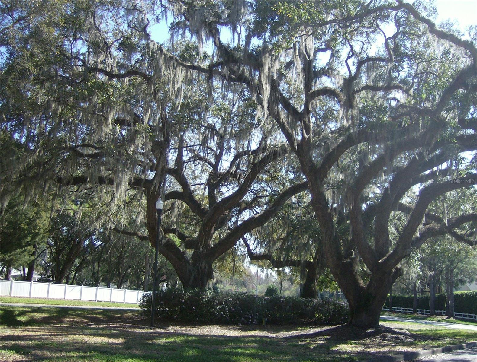 Image 44 of 65 For 2108 Greenlaw Court